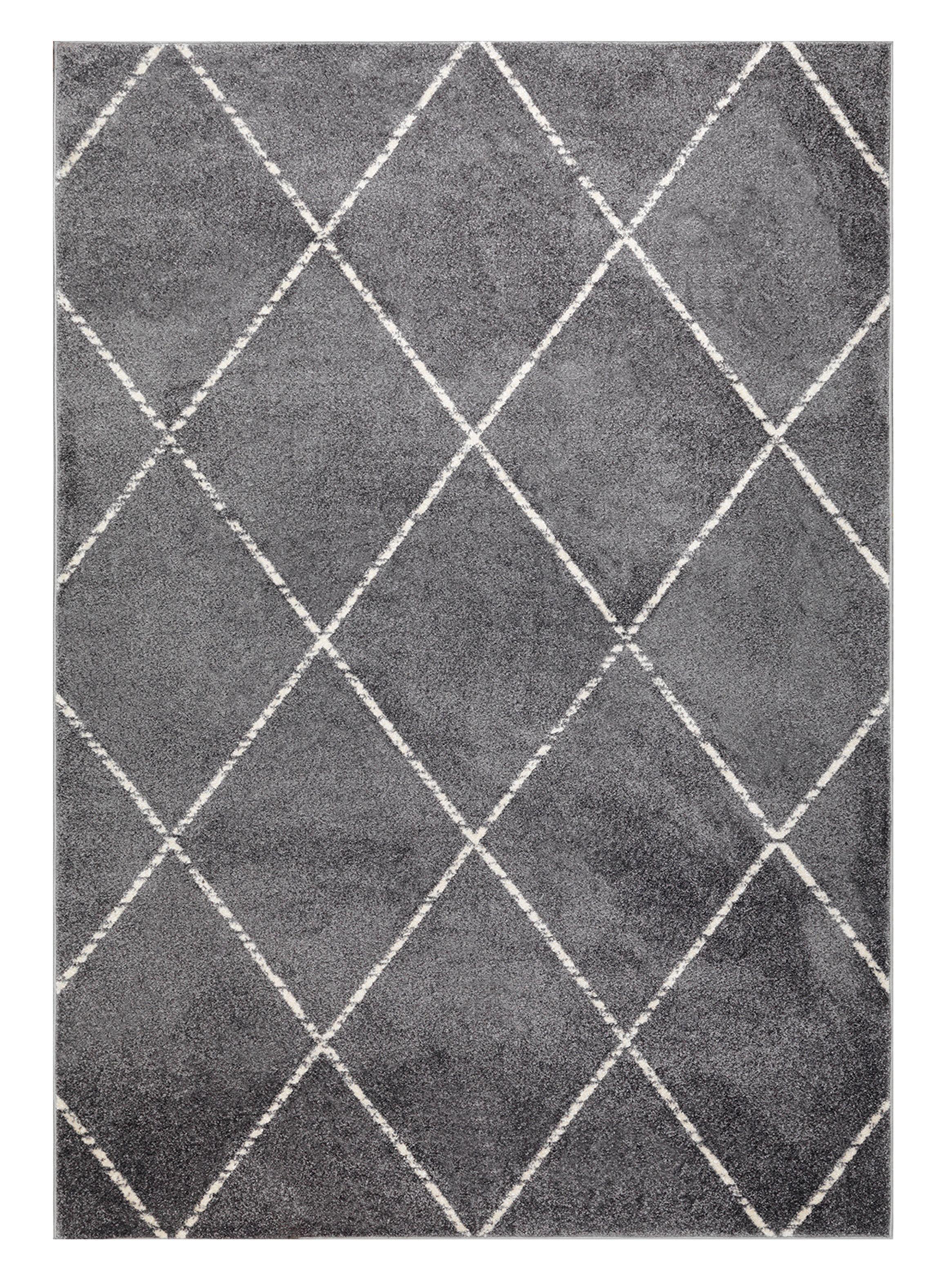 Alfombra Florida Gris 240 x 305 cm Sim-0