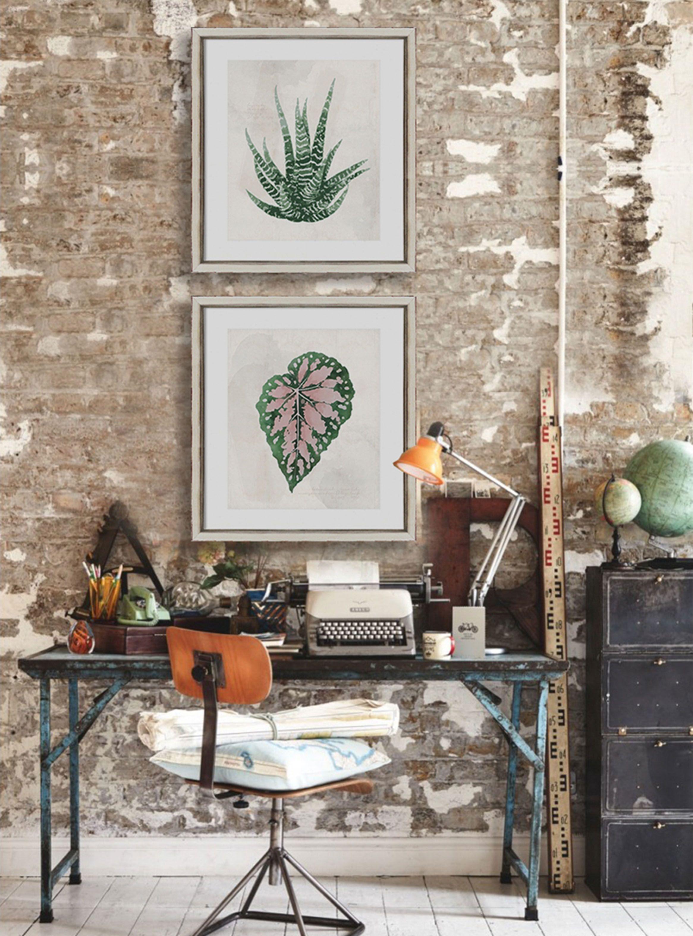 Cuadro Caza Cuadros Aloe Vera 40 x 50 cm-1