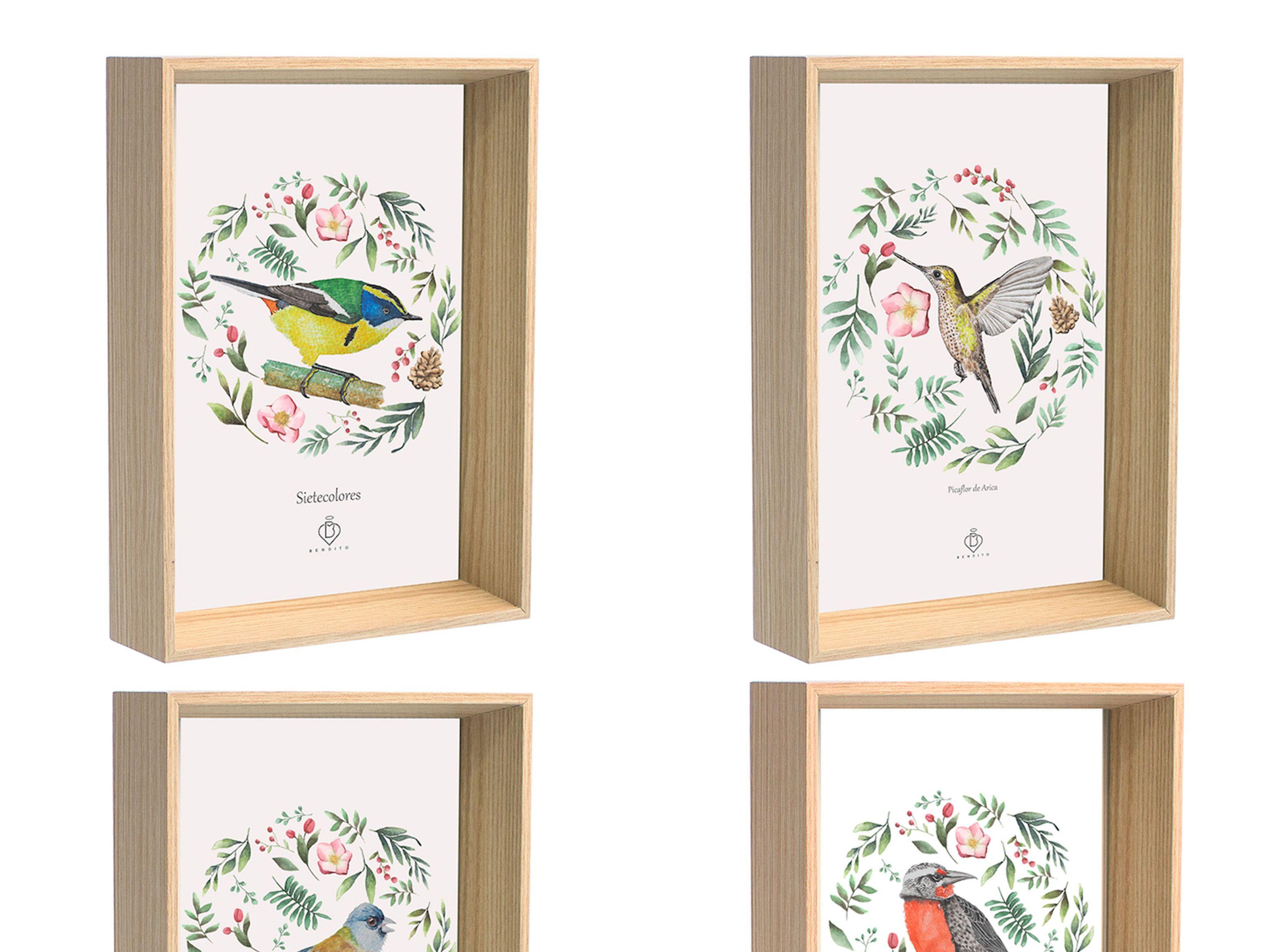 Set 4 Cuadros Postal Aves Chile Bendito-1