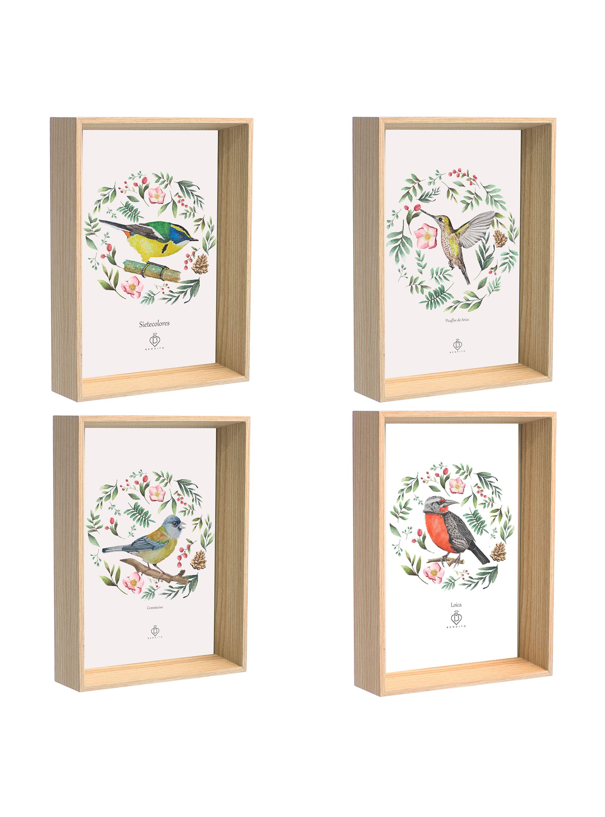 Set 4 Cuadros Postal Aves Chile Bendito-0