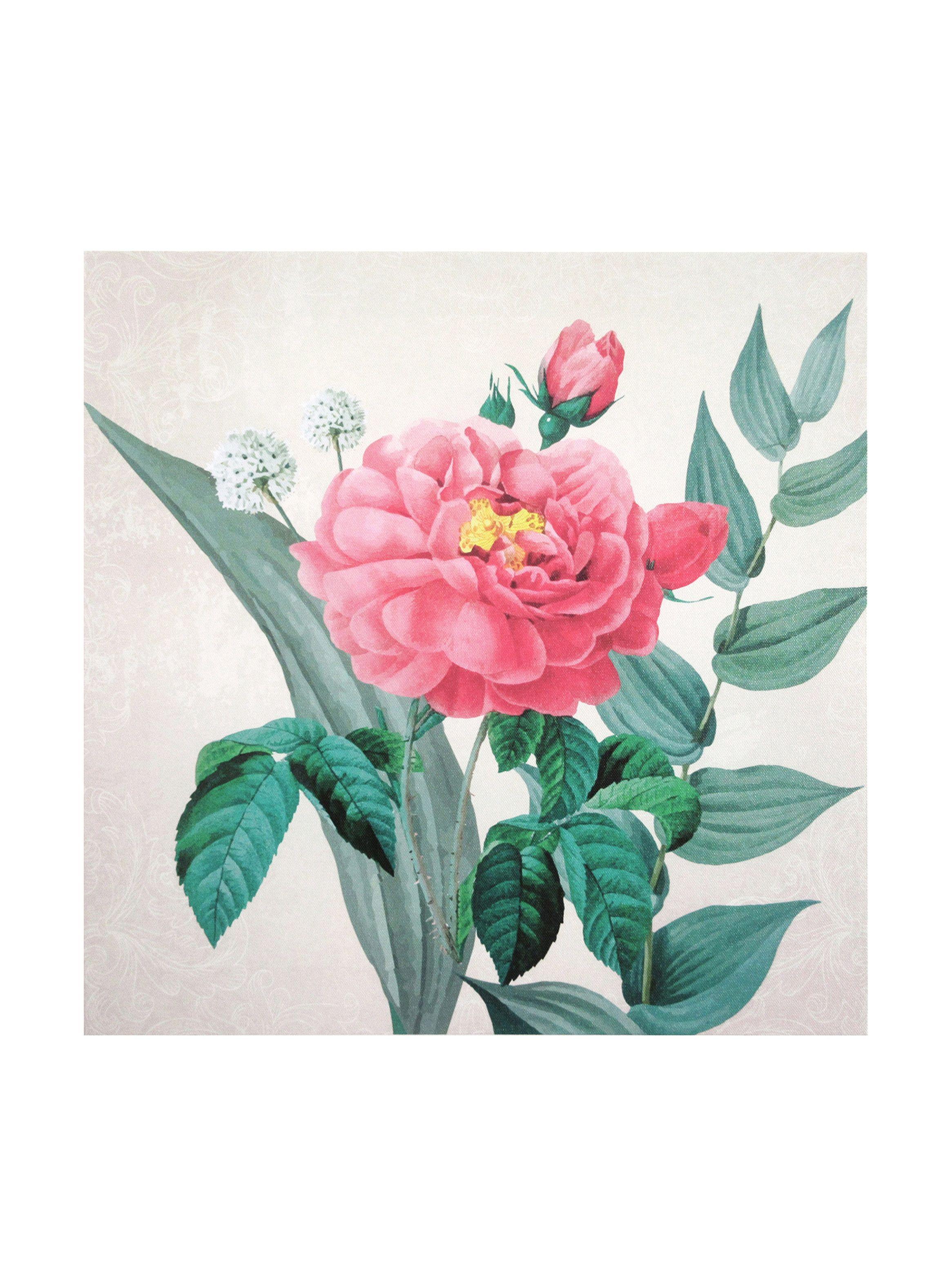 Cuadro Attimo Canva Flor Rosada 40 x 40 cm-0