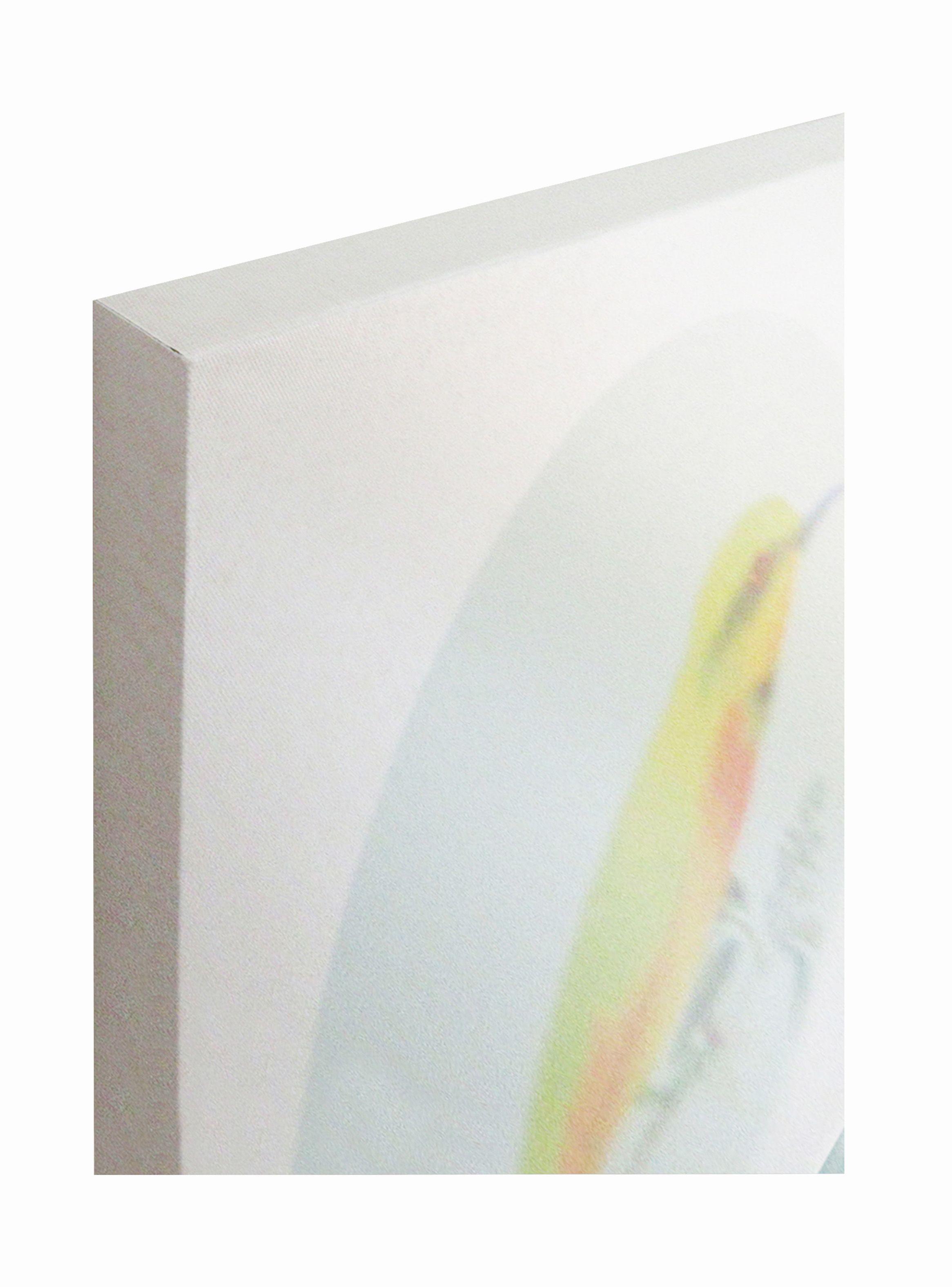 Cuadro Attimo Canva Pájaro D1 40 x 40 cm-1