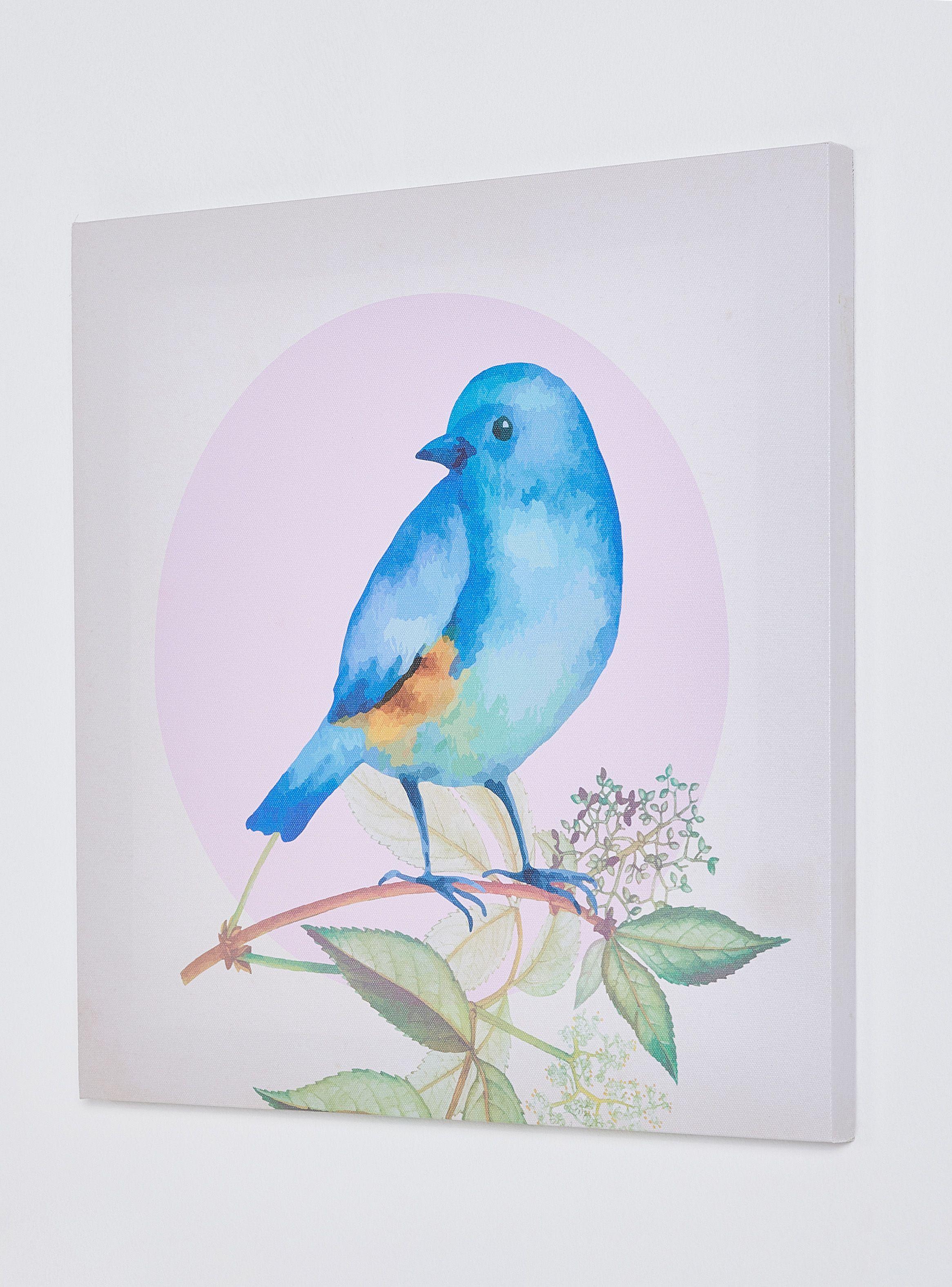 Cuadro Attimo Canva Pájaro D3 40 x 40 cm-1