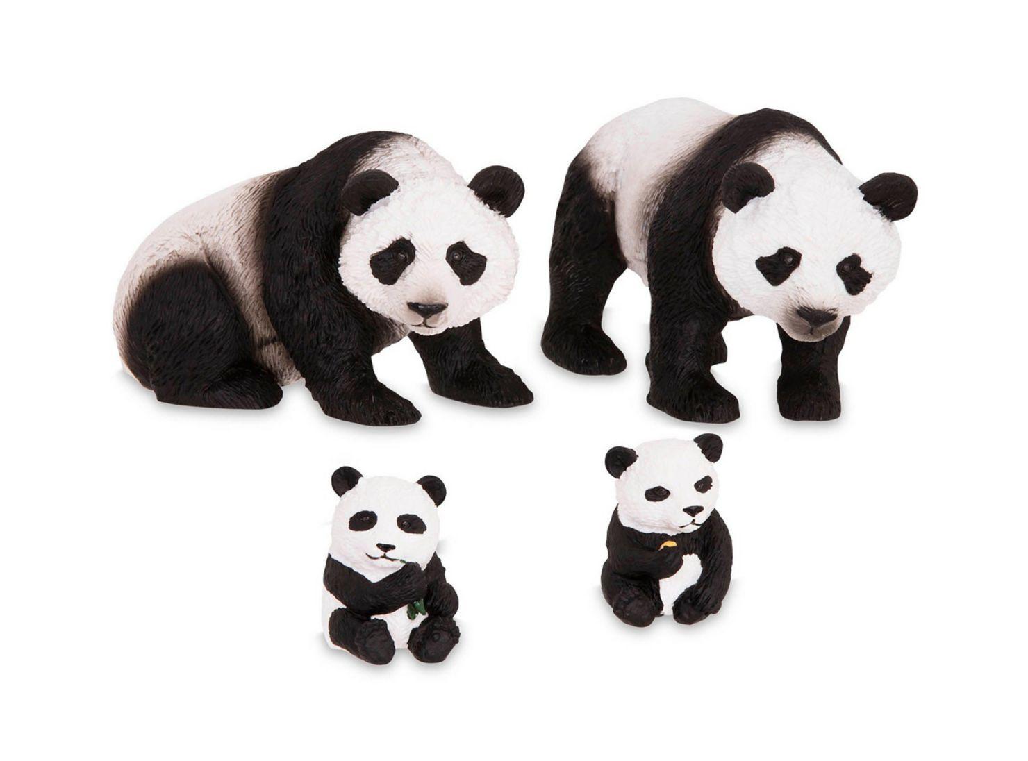 Terra Familia de Pandas Caramba-1