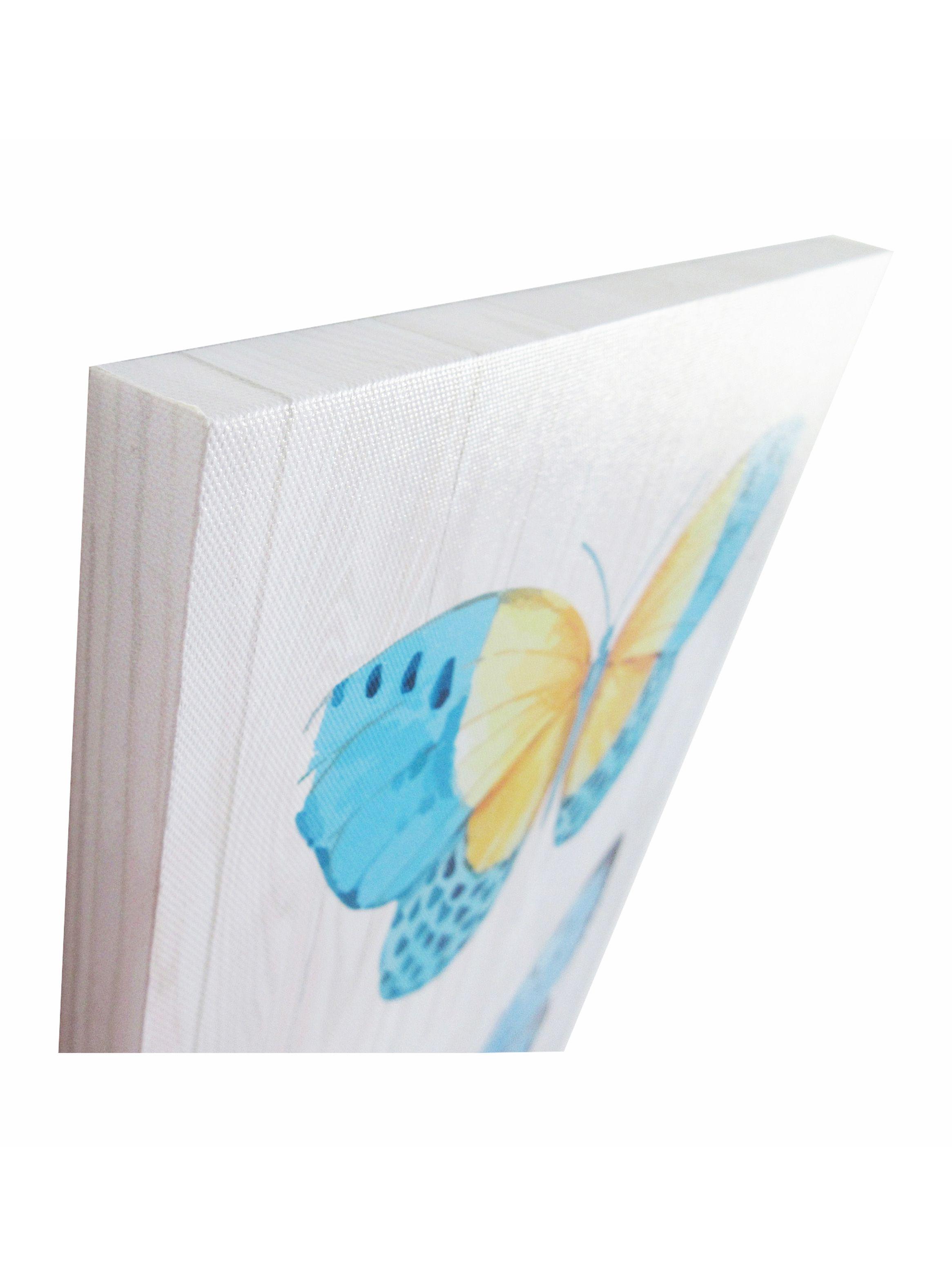 Canva Mariposas Colección 3 30 x 40 cm-1