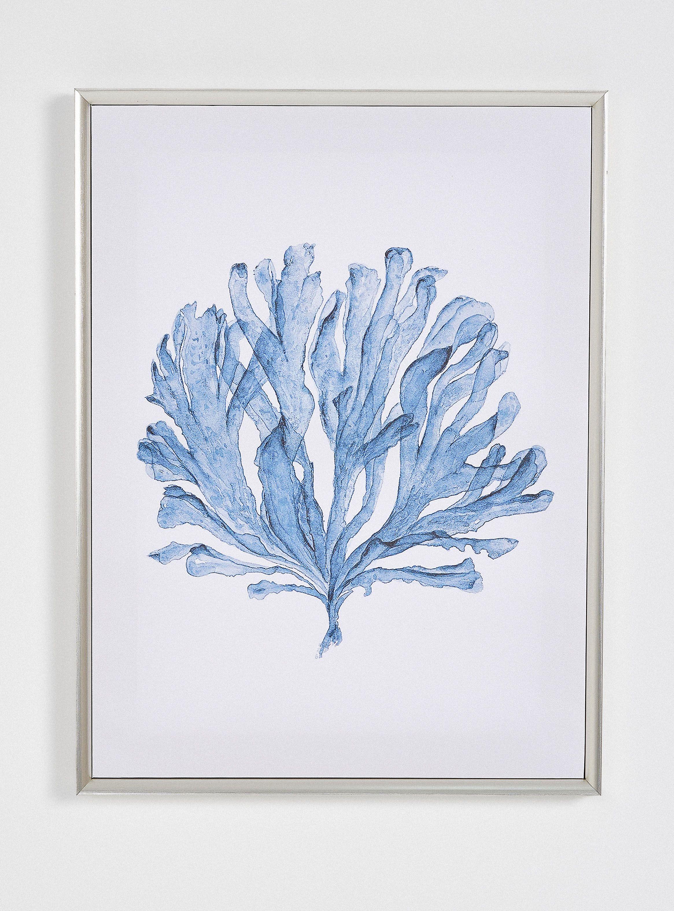 Cuadro Coral Azul 1 45 x 60 cm-0