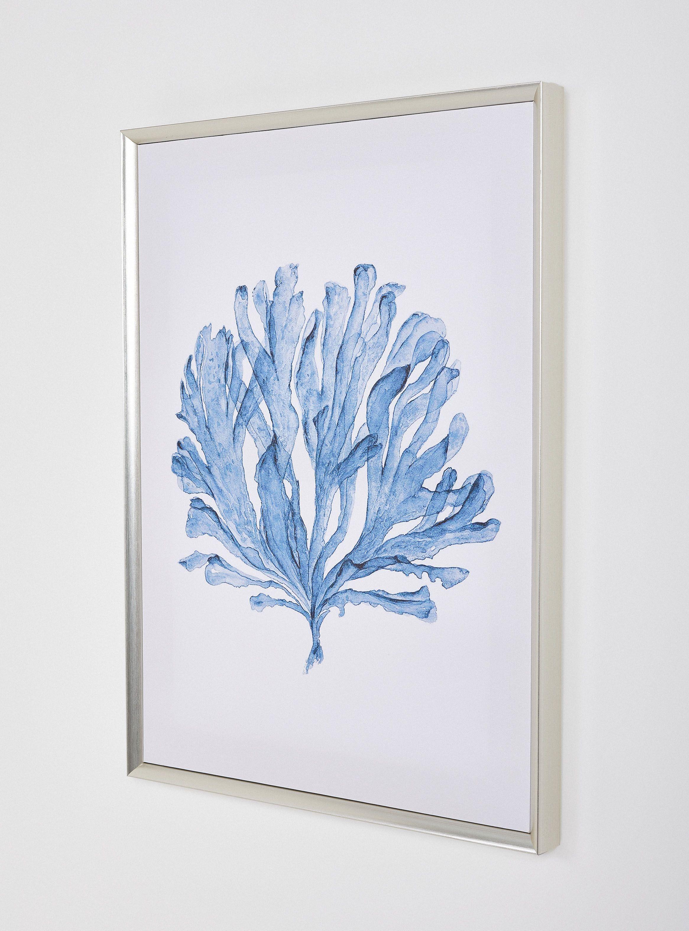 Cuadro Coral Azul 1 45 x 60 cm-1