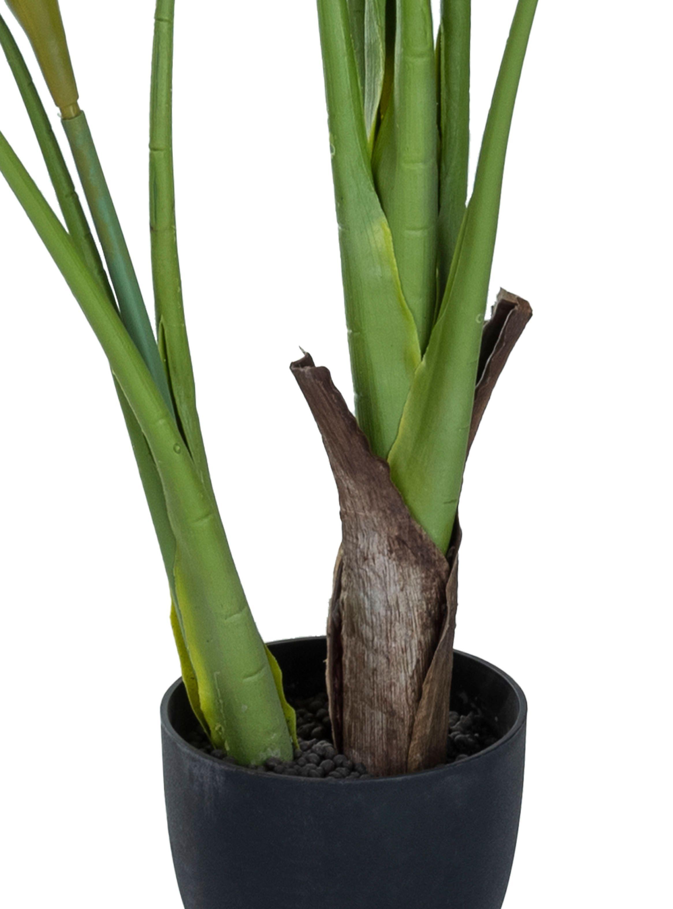 Planta Colocasia 108 cm-2