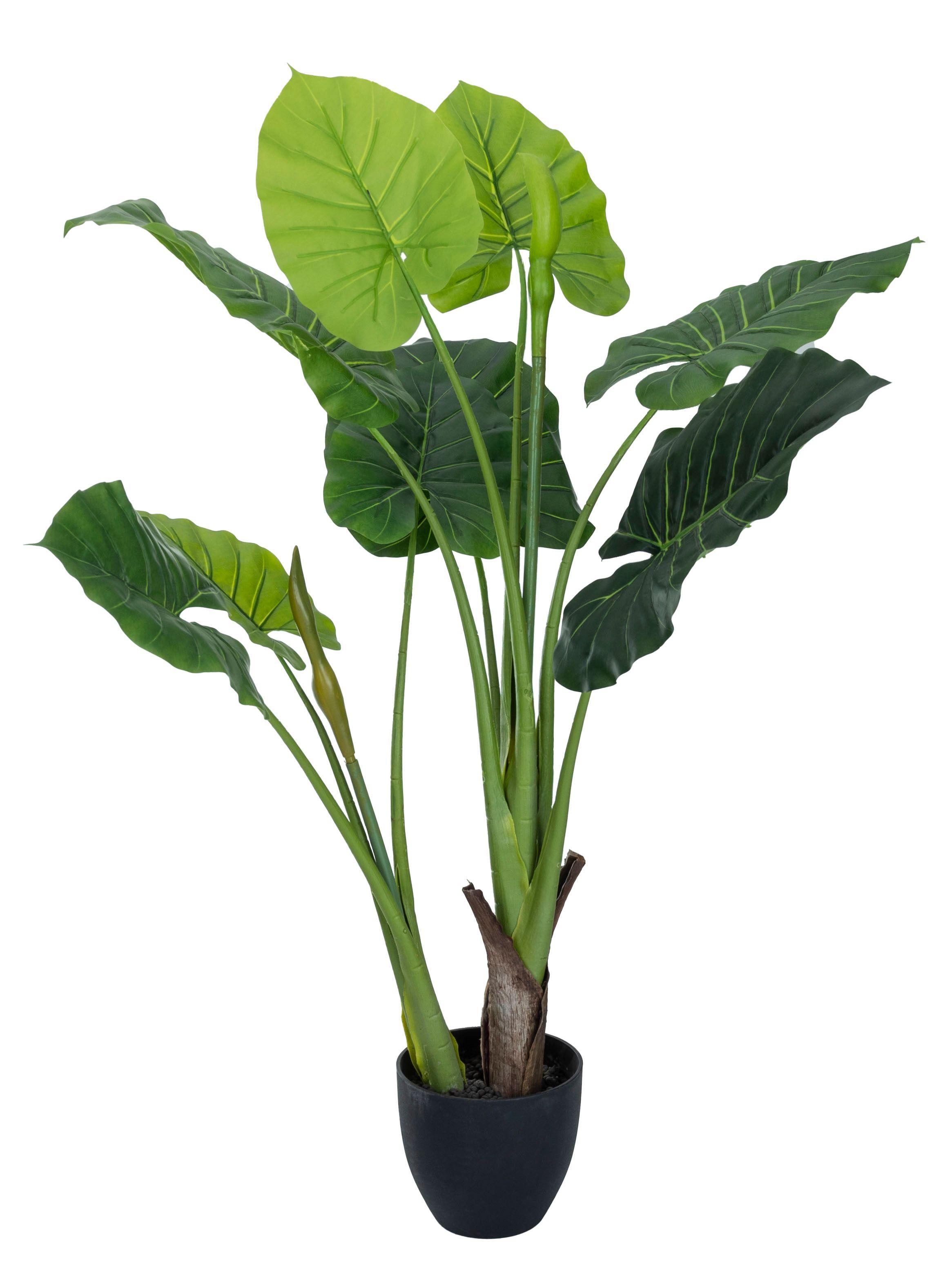 Planta Colocasia 108 cm-0