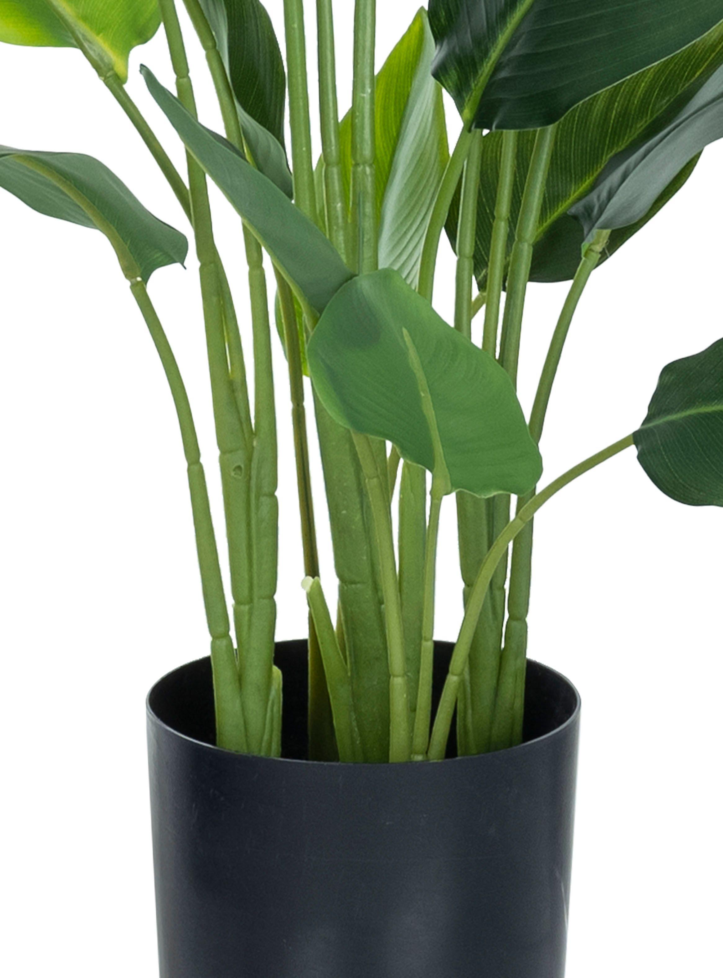 Planta Banana 78 cm Base Cerámica-2