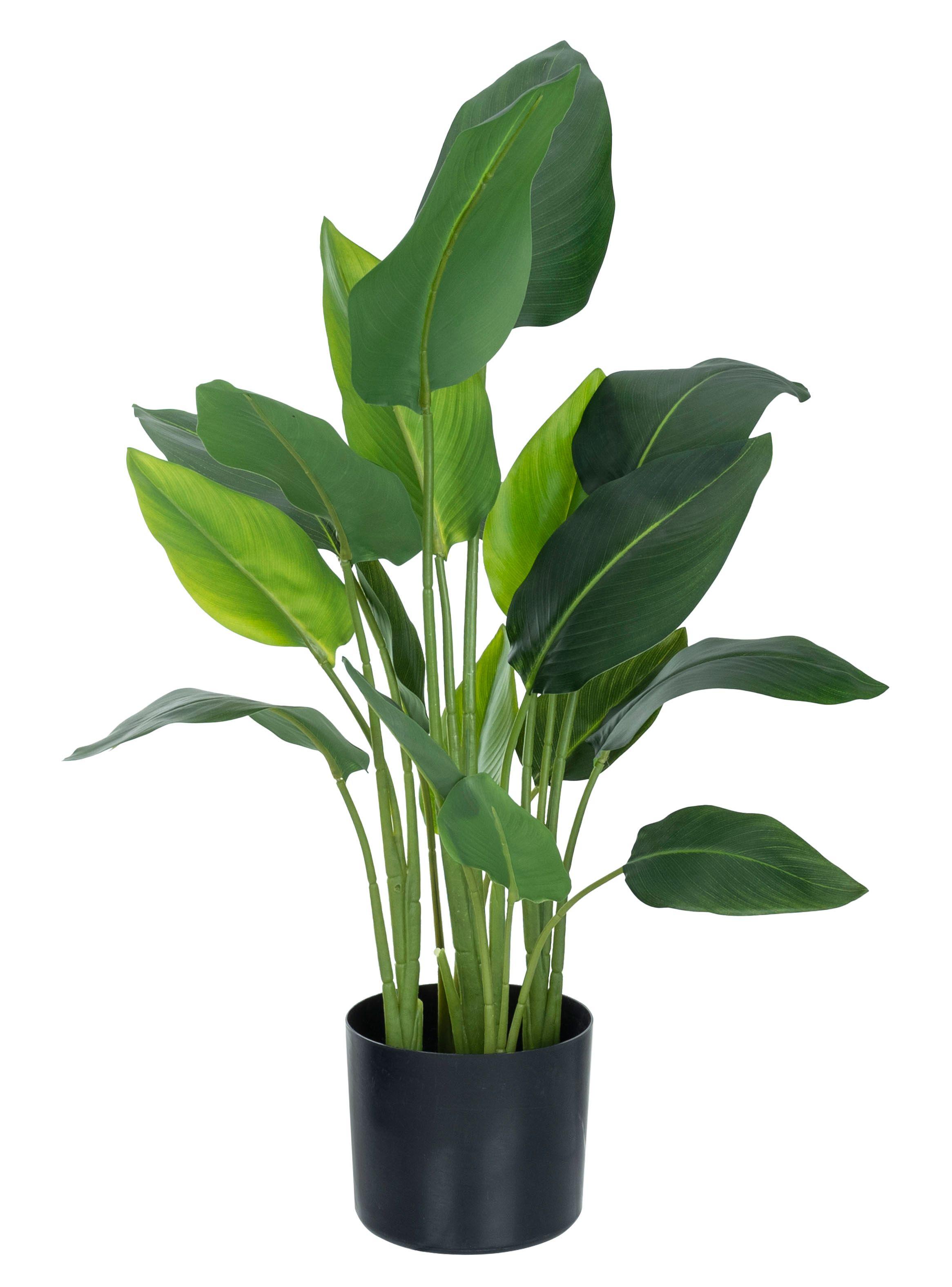 Planta Banana 78 cm Base Cerámica-0