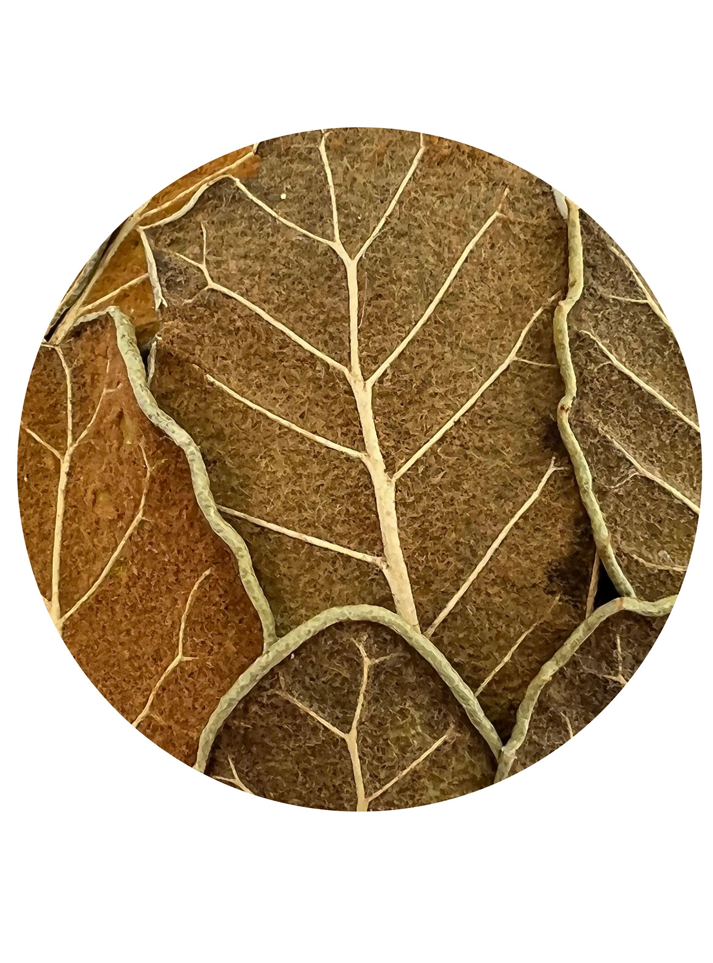 Adorno Natural 4 10 cm-1