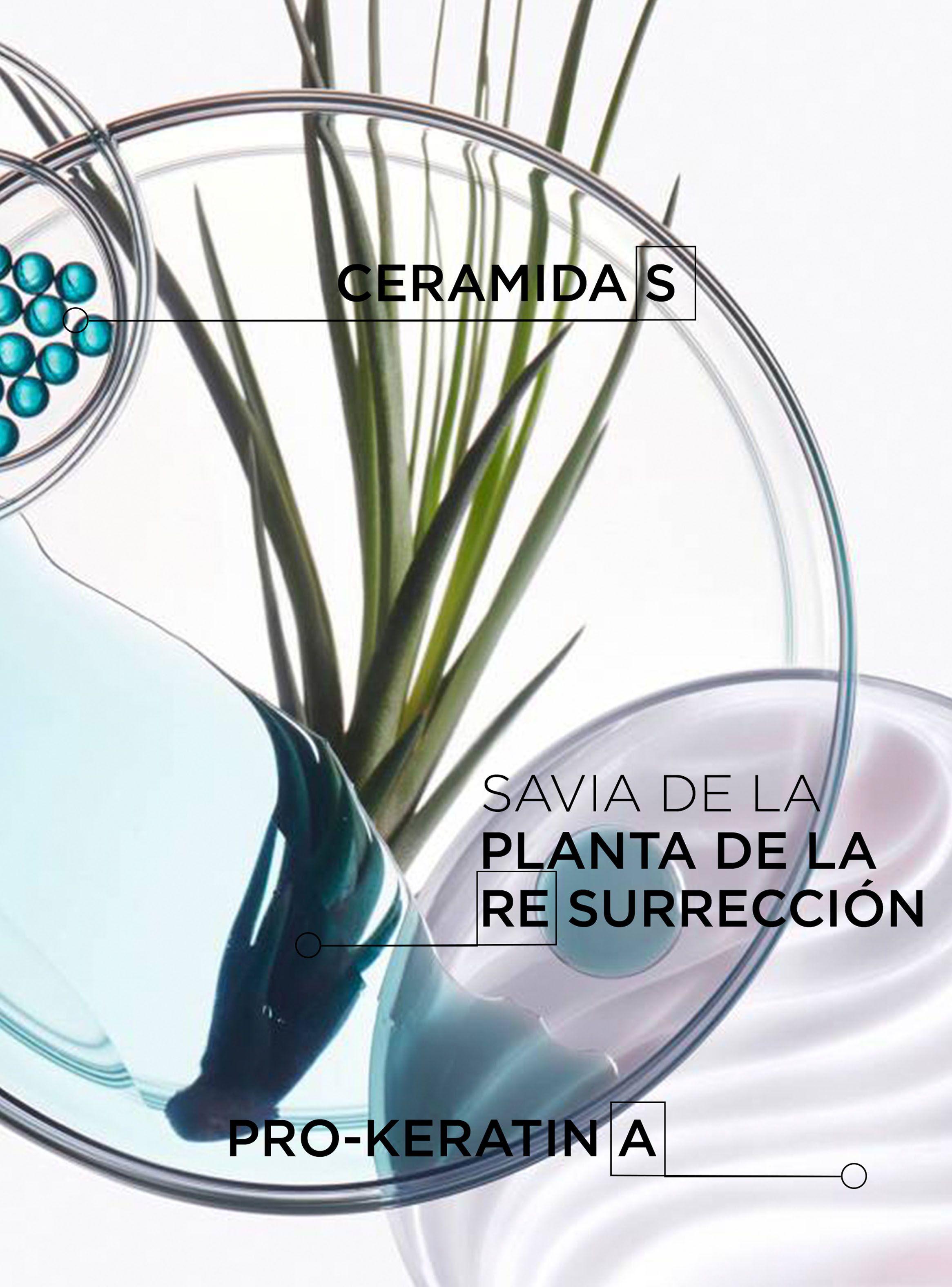 Set Cabello Debilitado Resistance Shampoo Bain Force Architecte 250 ml + Acondicionador Ciment Anti-usure 200 ml-1