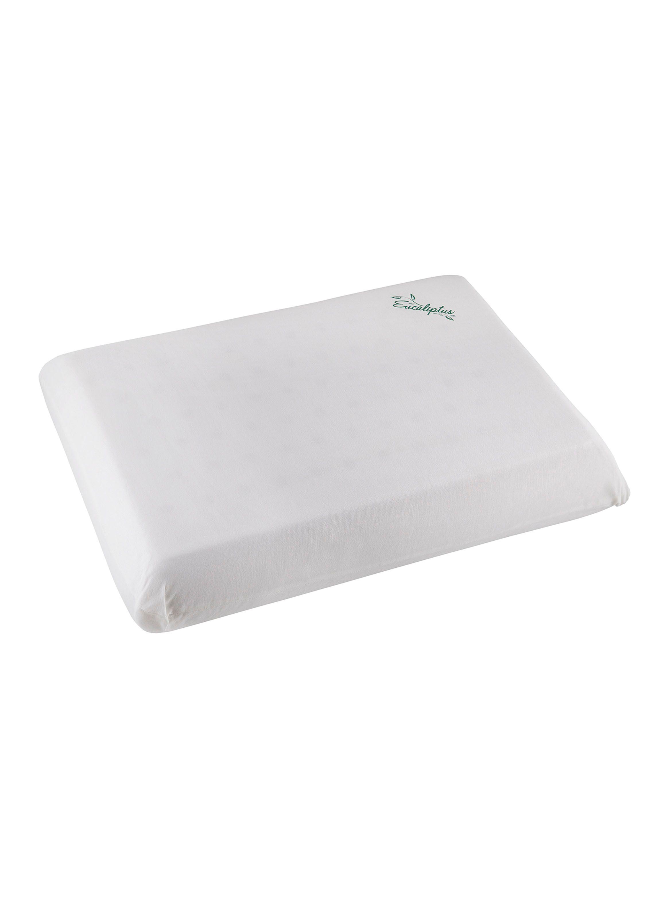 Almohada Eucaliptus 60 x 40 cm-1