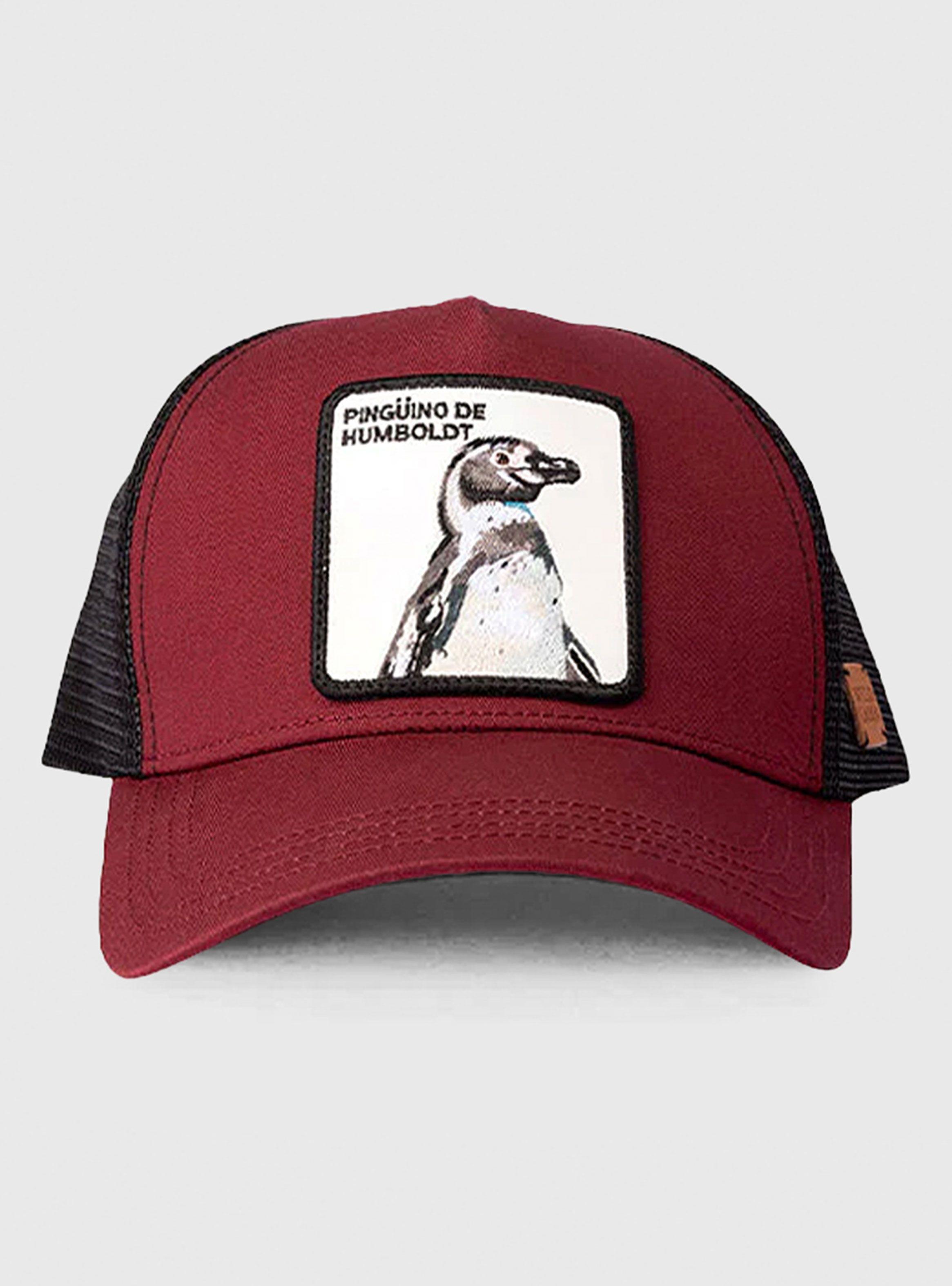 Jockey Pingüino de Humbold Algodón Orgánico-0