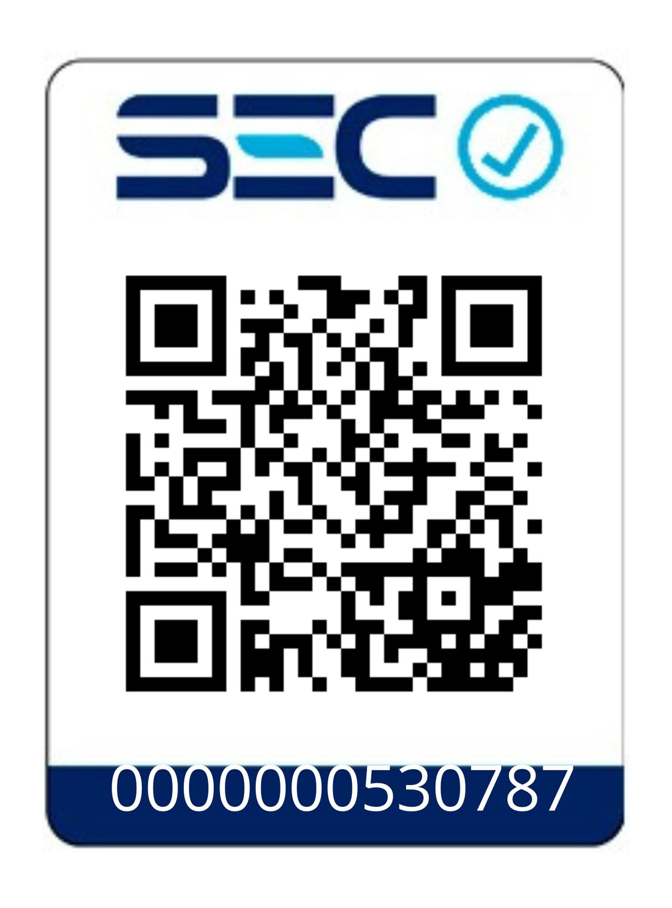 Ondulador de Pelo Automático BHR-001 Negro-6