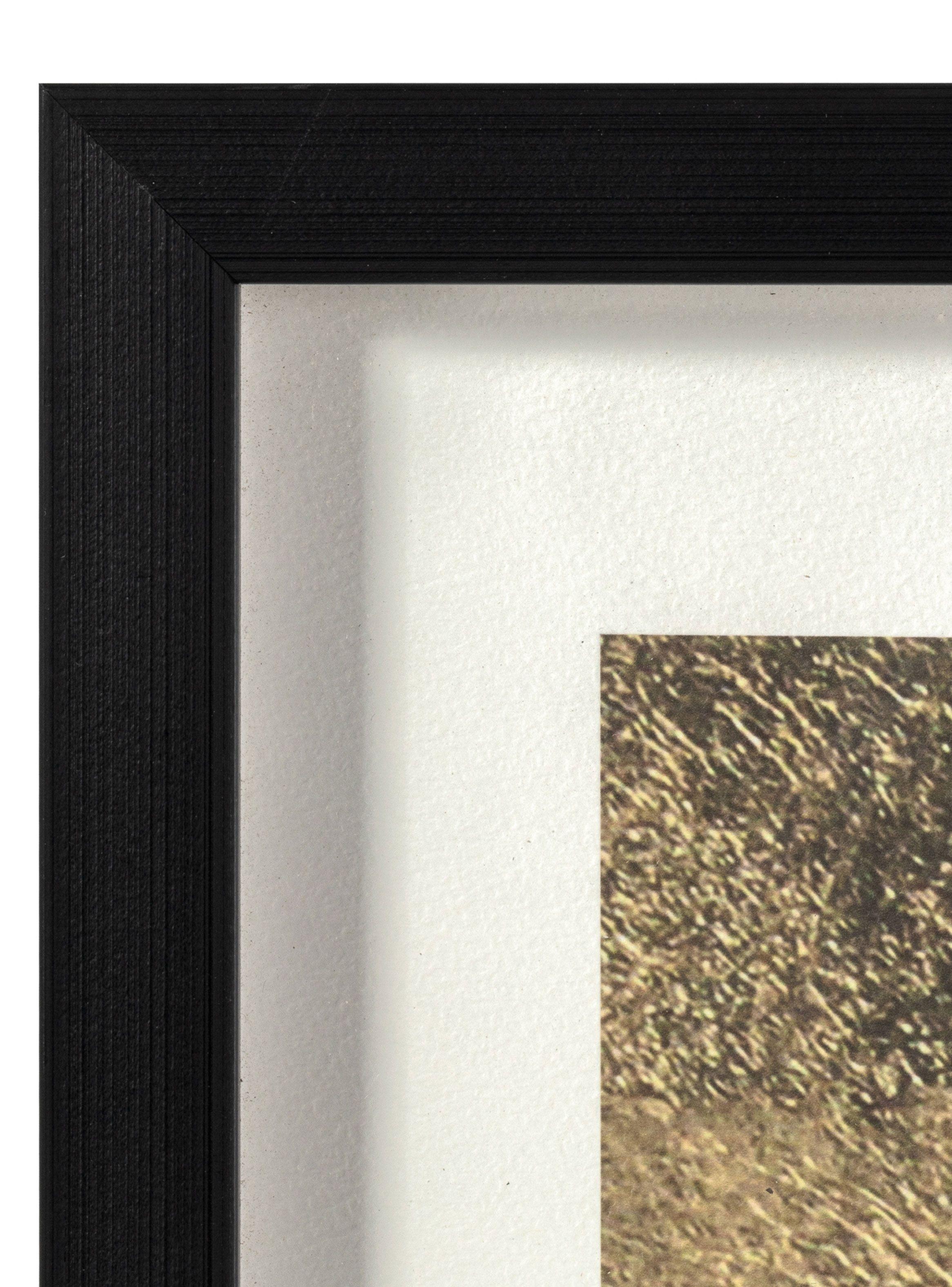 Cuadro Pájaro Dorado 2 50 x 50 cm-3