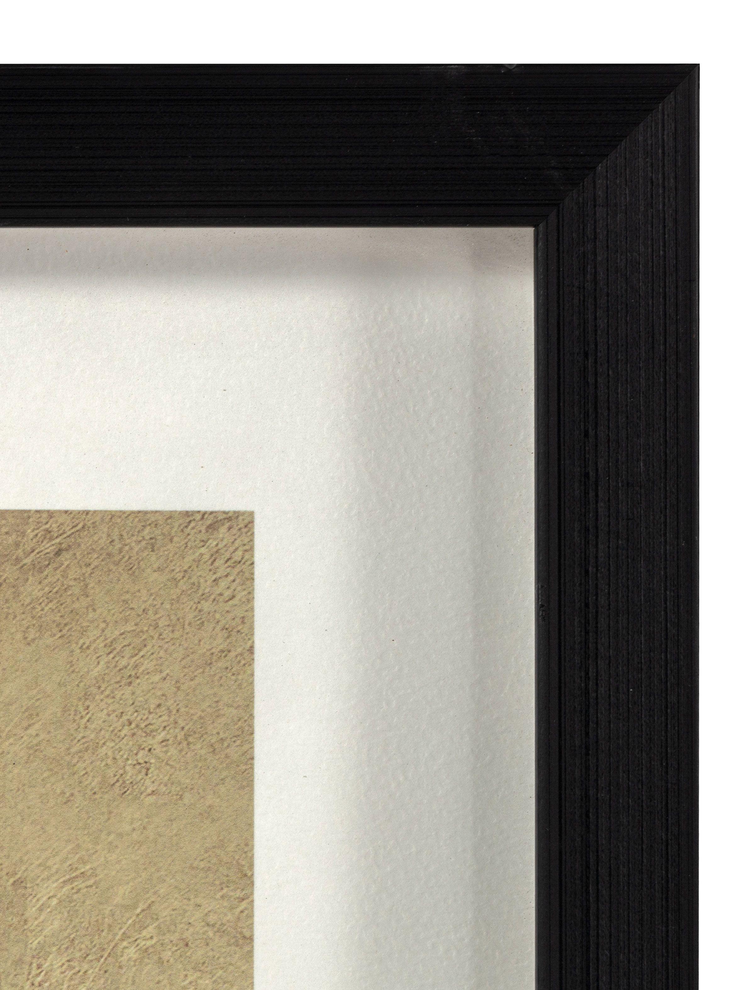 Cuadro Pájaro Dorado 2 50 x 50 cm-2