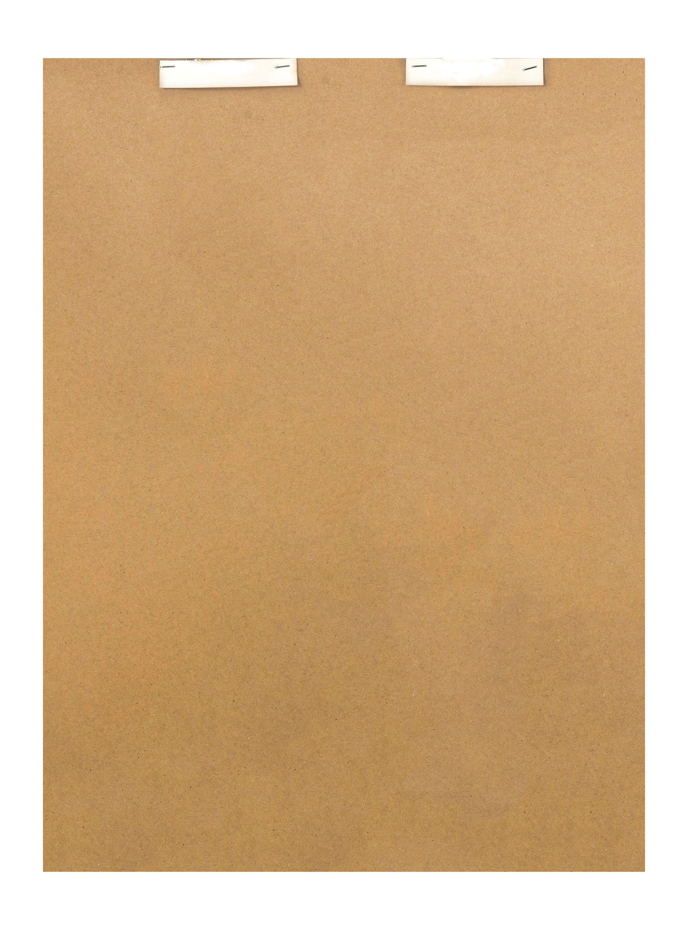 Cuadro Flor Plata 1 60 x 50 cm-2