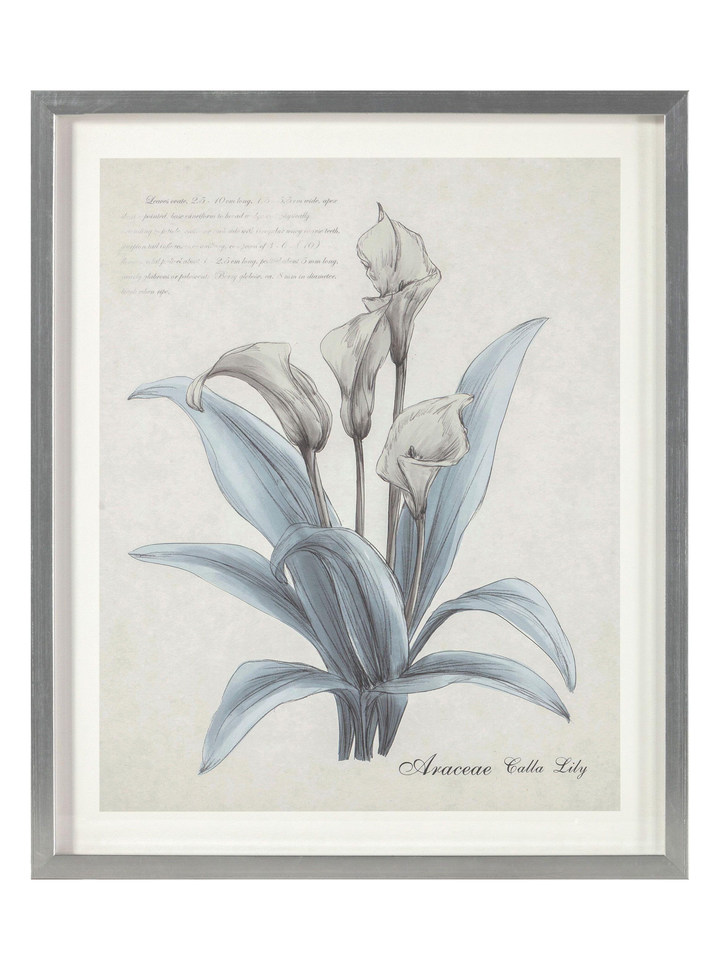 Cuadro Flor Plata 1 60 x 50 cm-0