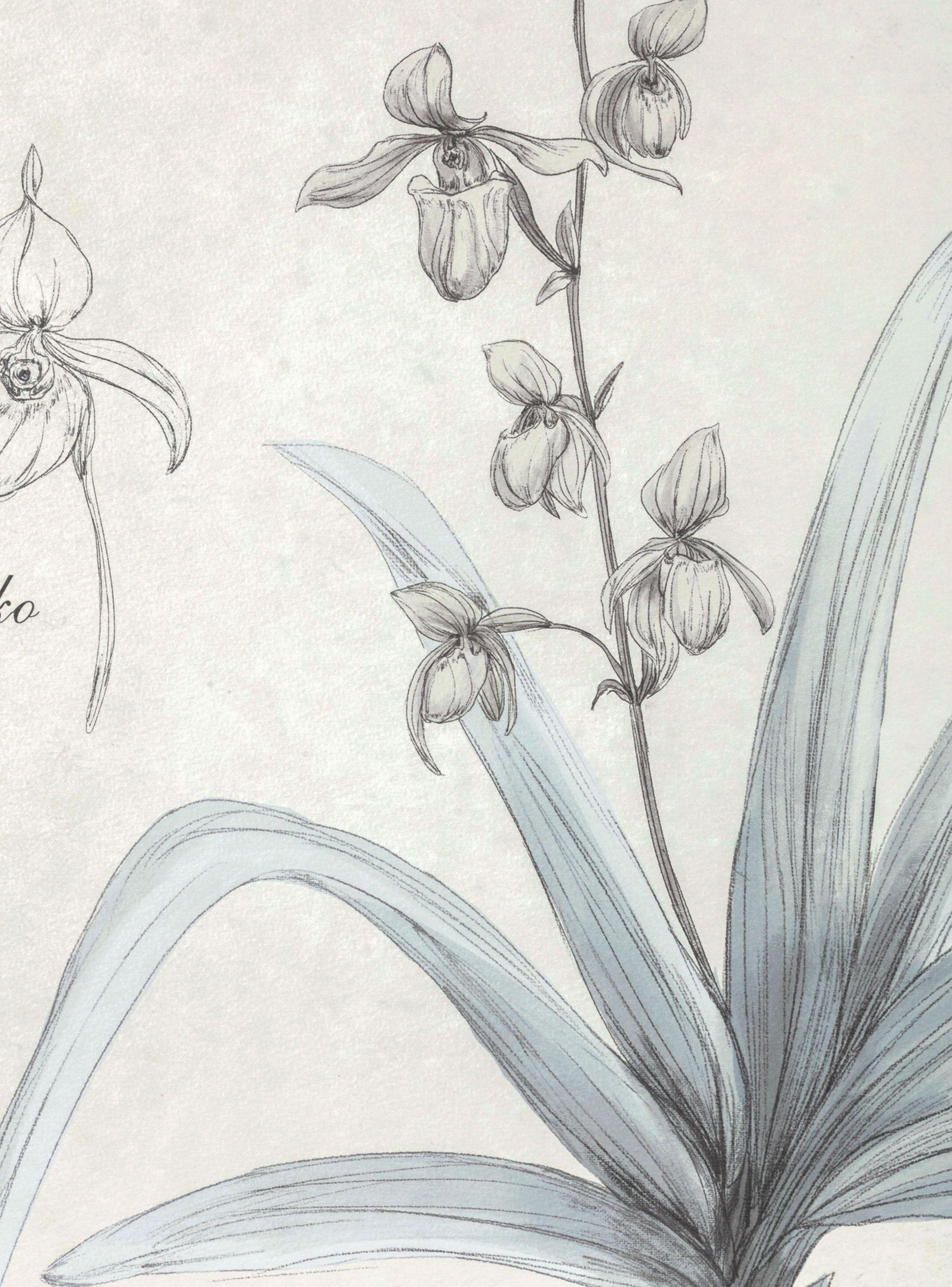 Cuadro Flor Plata 2 60 x 50 cm-3