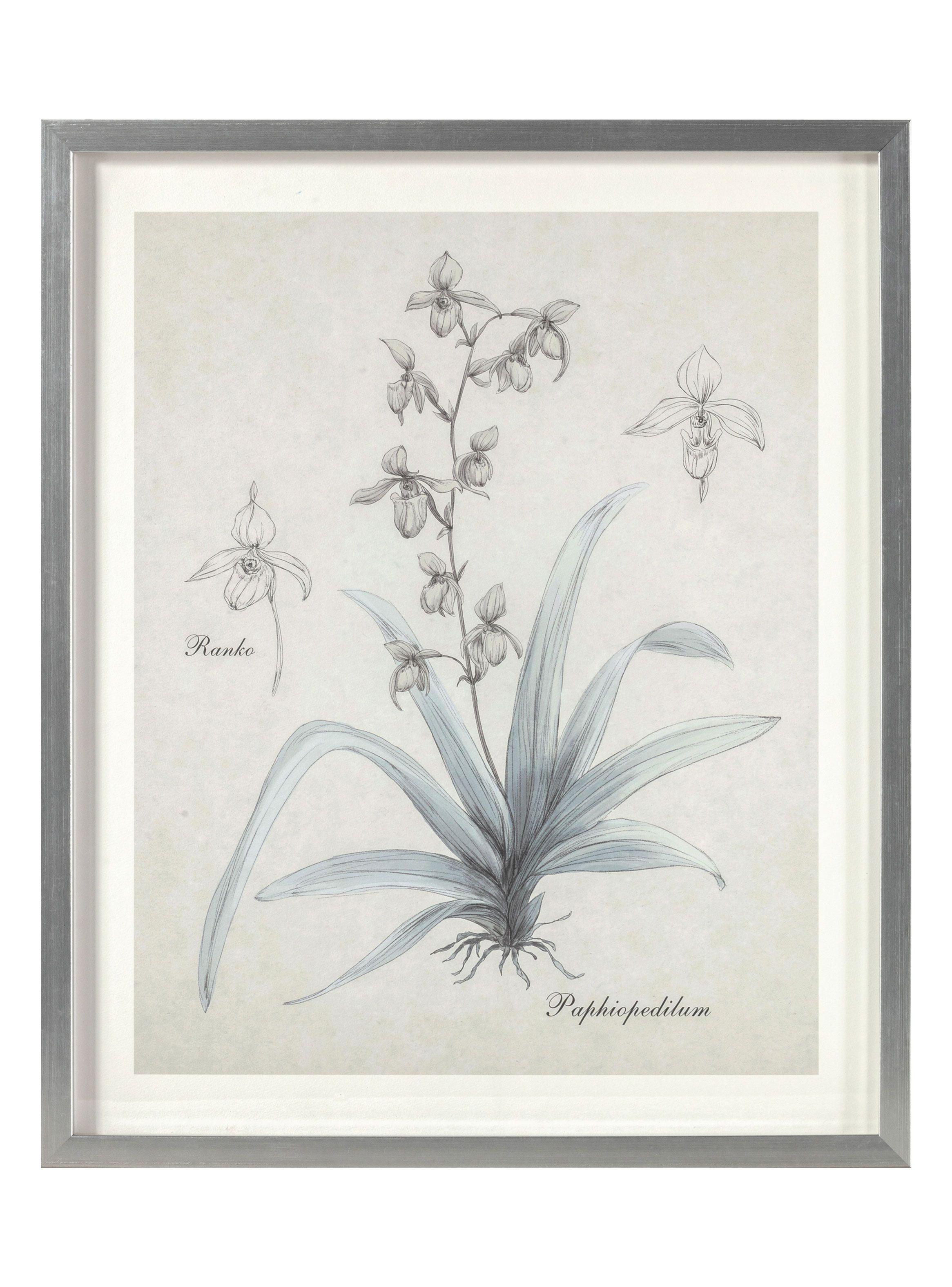 Cuadro Flor Plata 2 60 x 50 cm-0