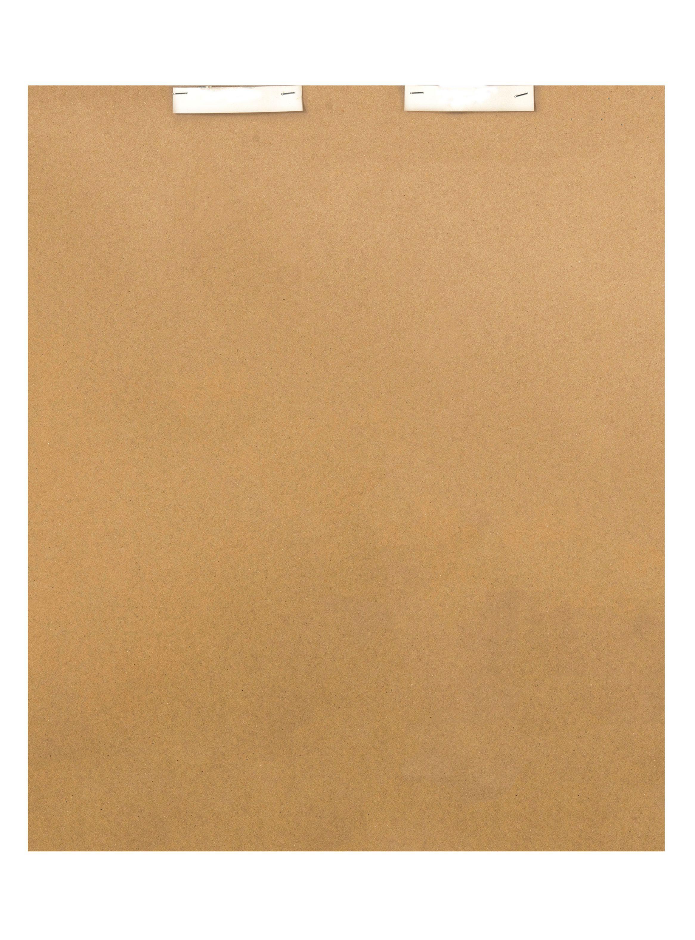 Cuadro Flor Plata 2 60 x 50 cm-2