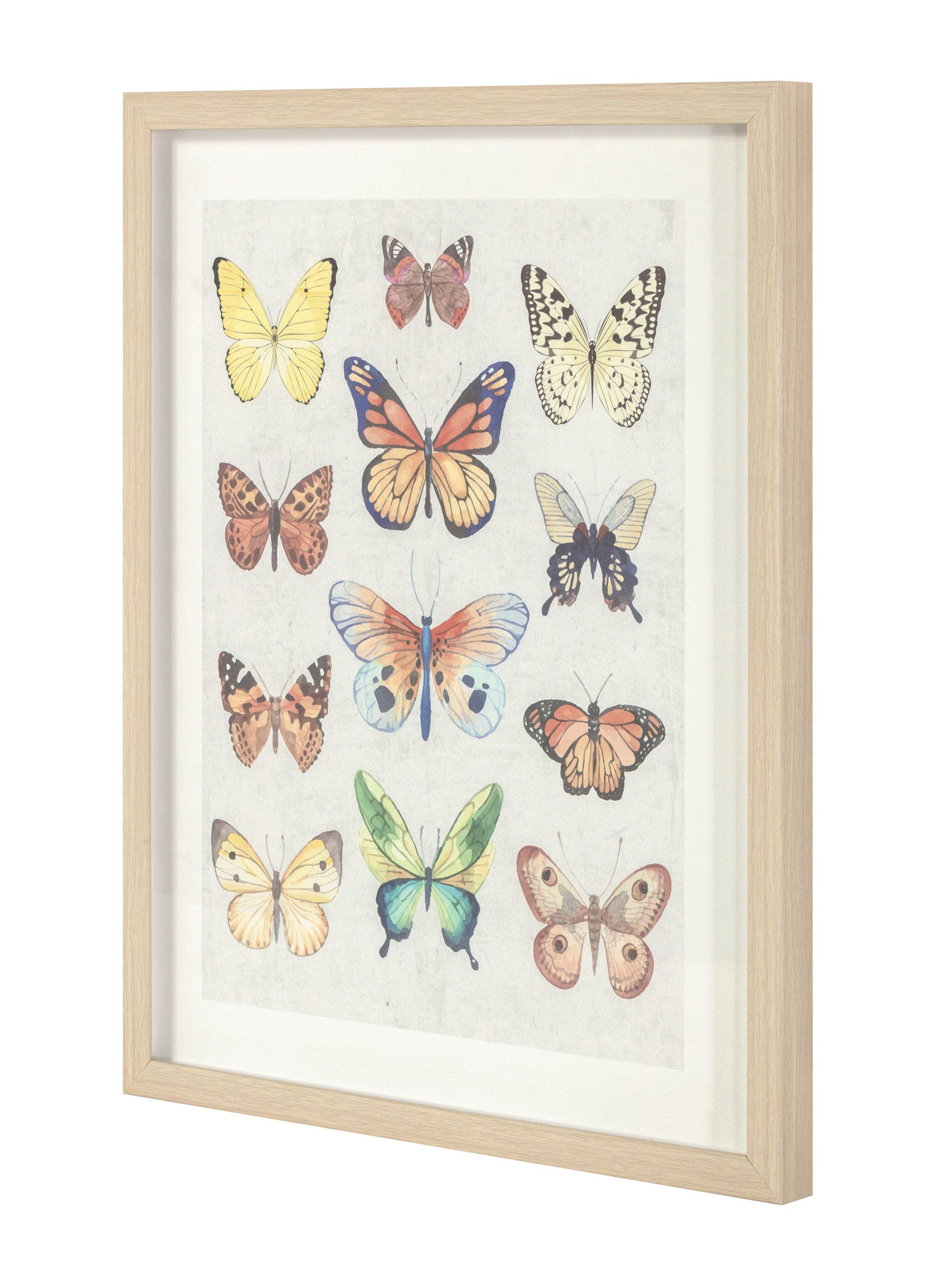 Cuadro Comp Mariposas 2 50 x 40 cm-1