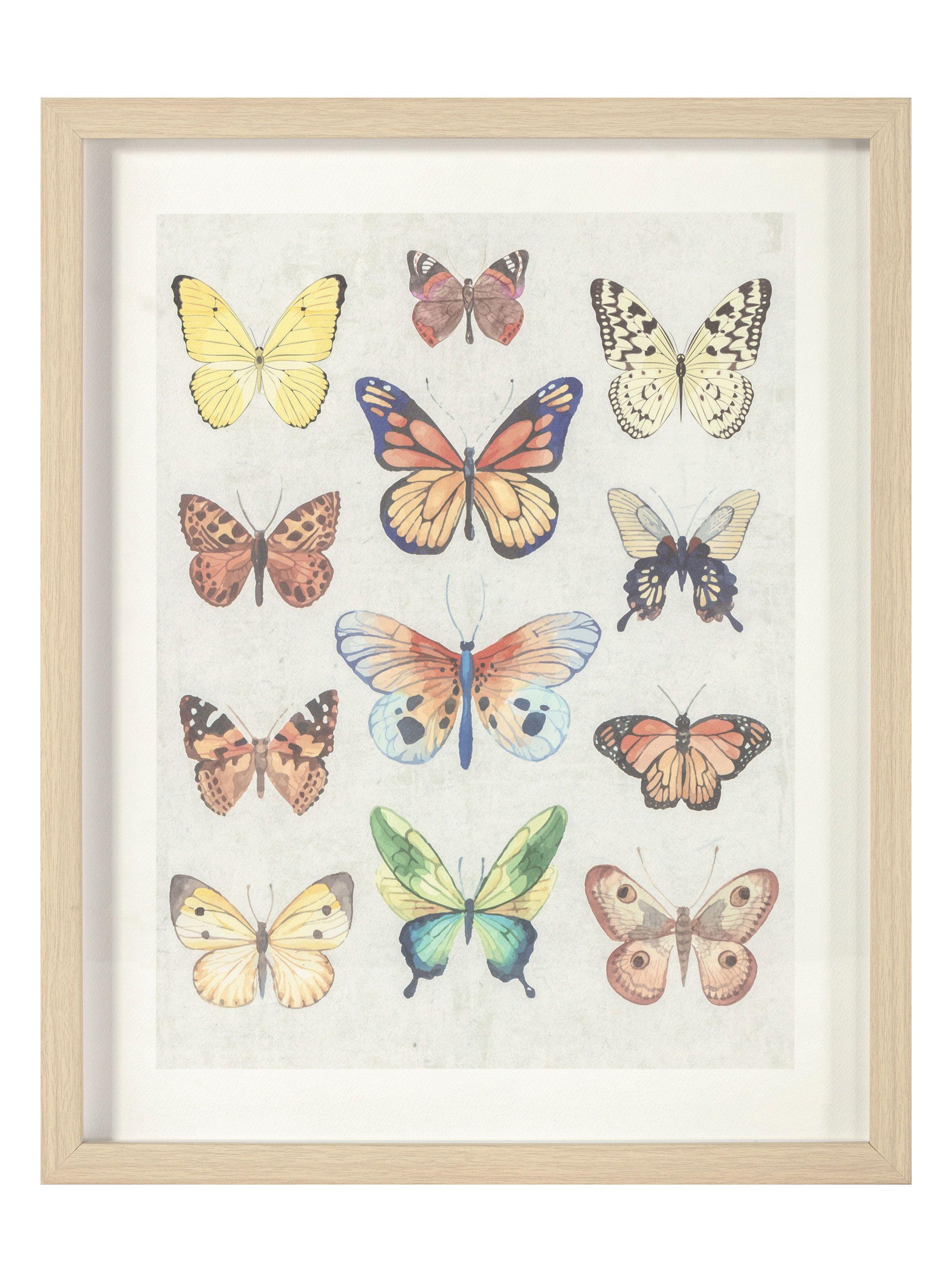 Cuadro Comp Mariposas 2 50 x 40 cm-0
