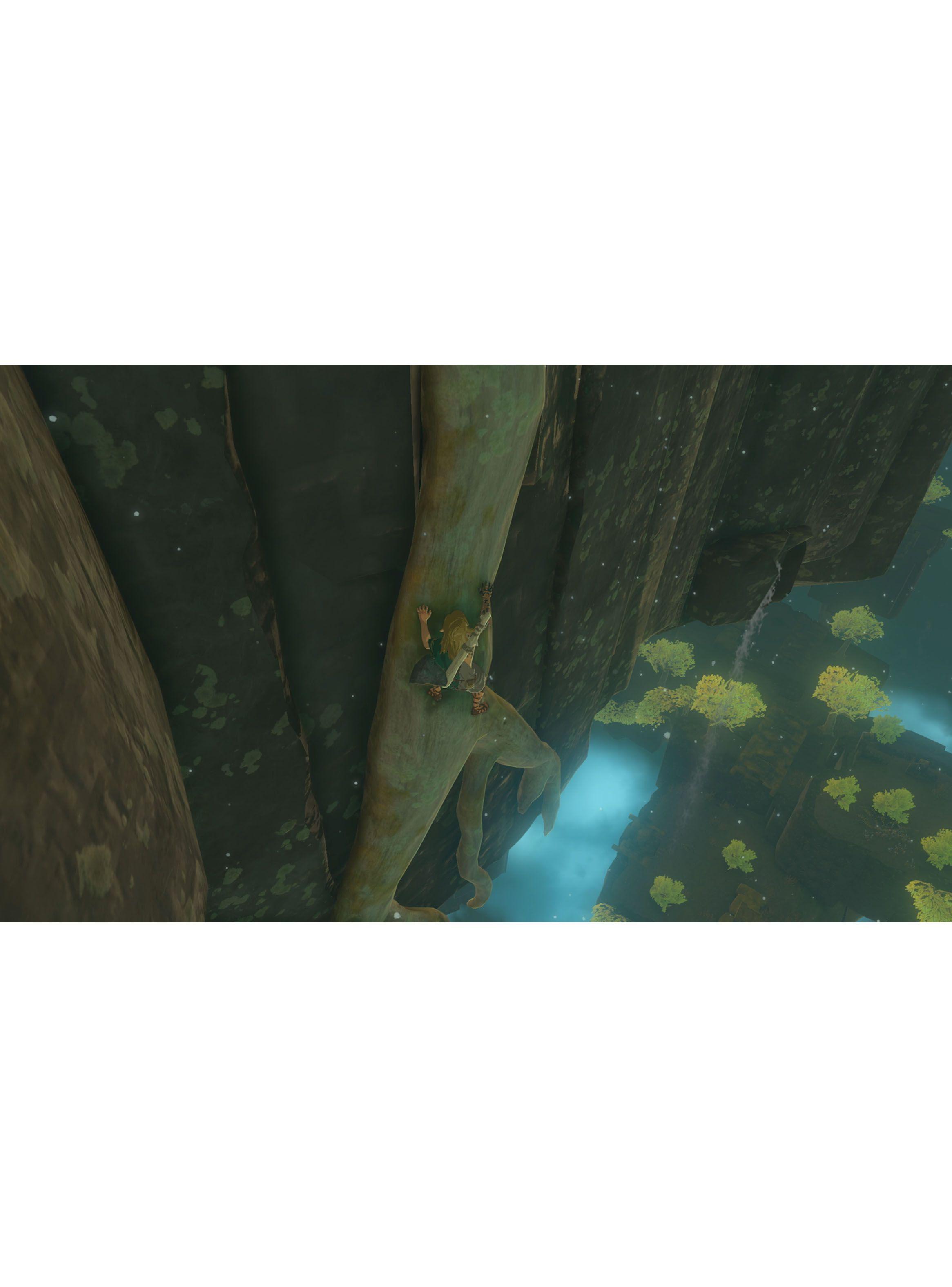 Juego Nintendo Switch The Legend of Zelda: Tears of the Kingdom-5
