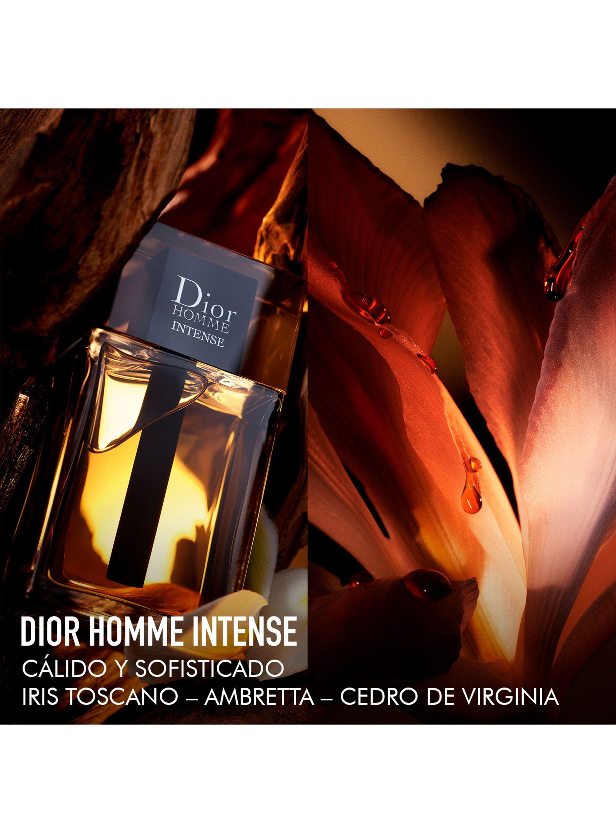 Perfume Homme Intense EDP Hombre 100ml Dior-2