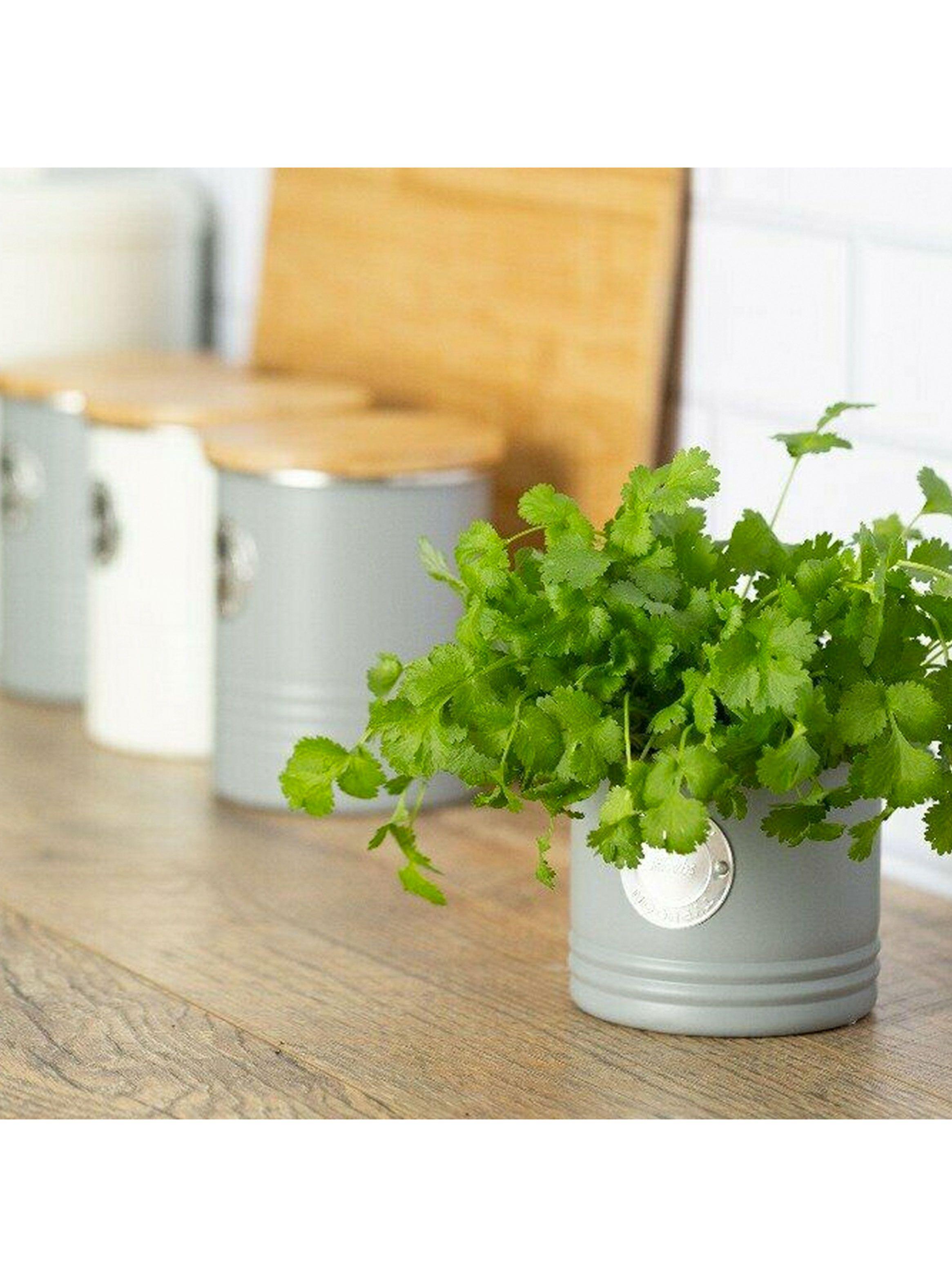 Contenedor Hierba Gris-1