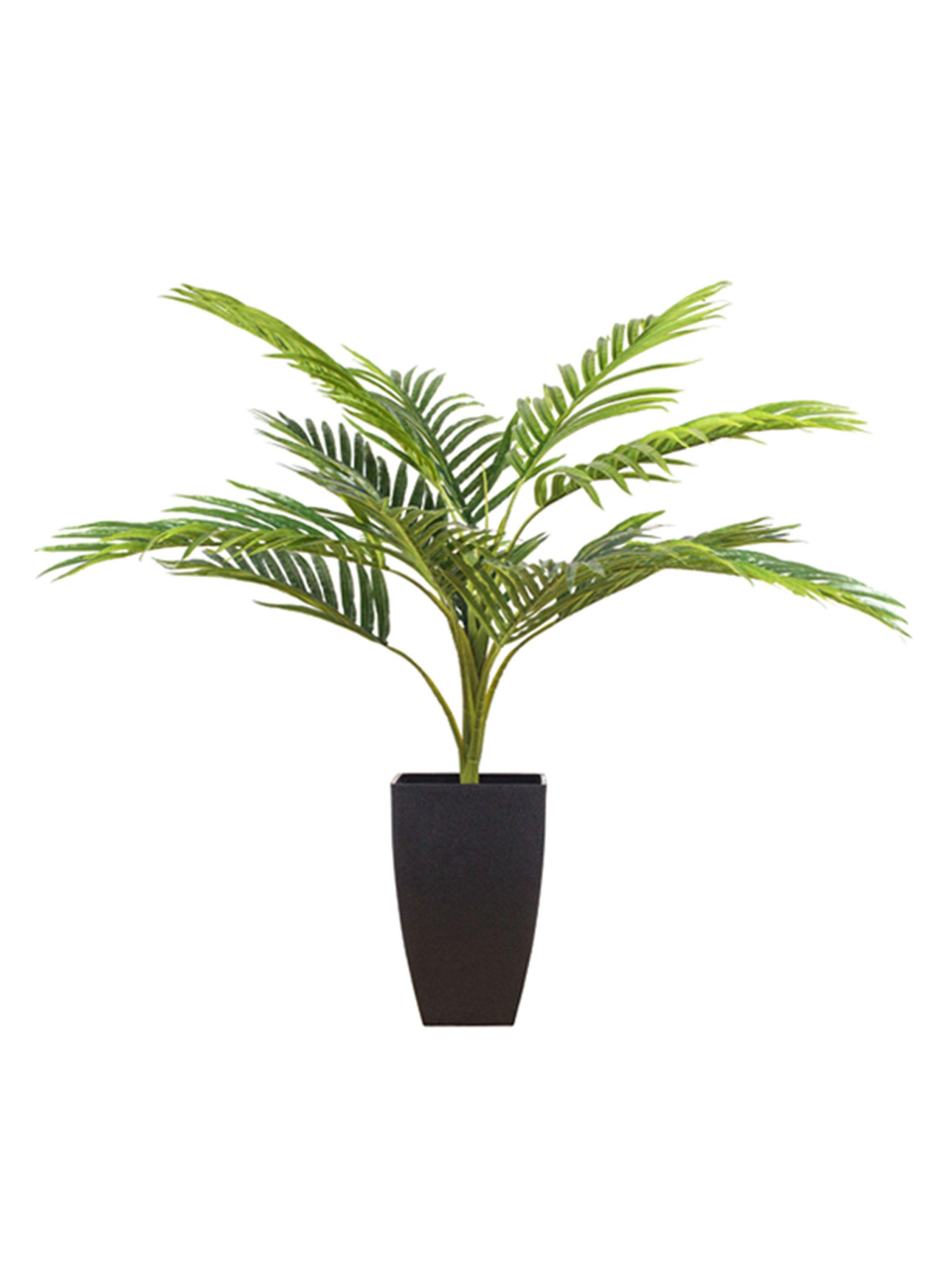 Planta Palmera 70 cm The Garden-0
