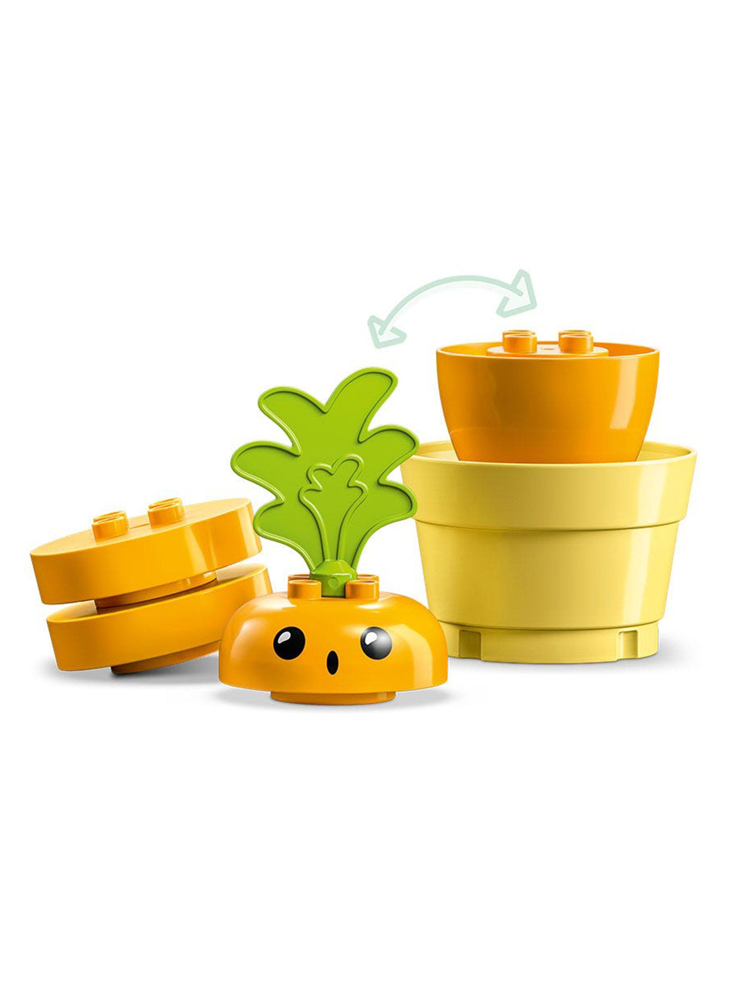 Armable Duplo 10981 Planta de Zanahoria-3