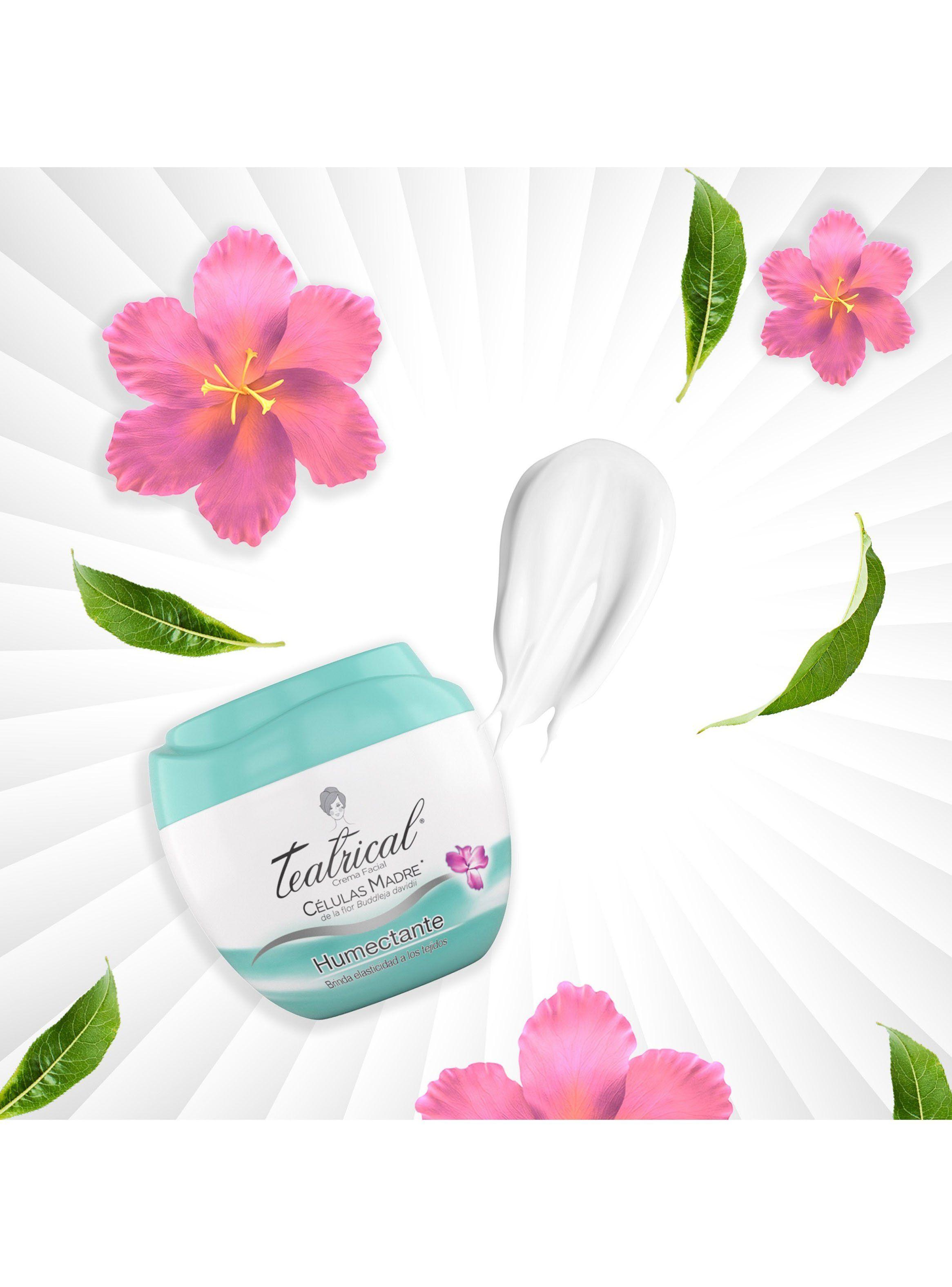 Crema Teatrical Facial Humectante 200 g-6