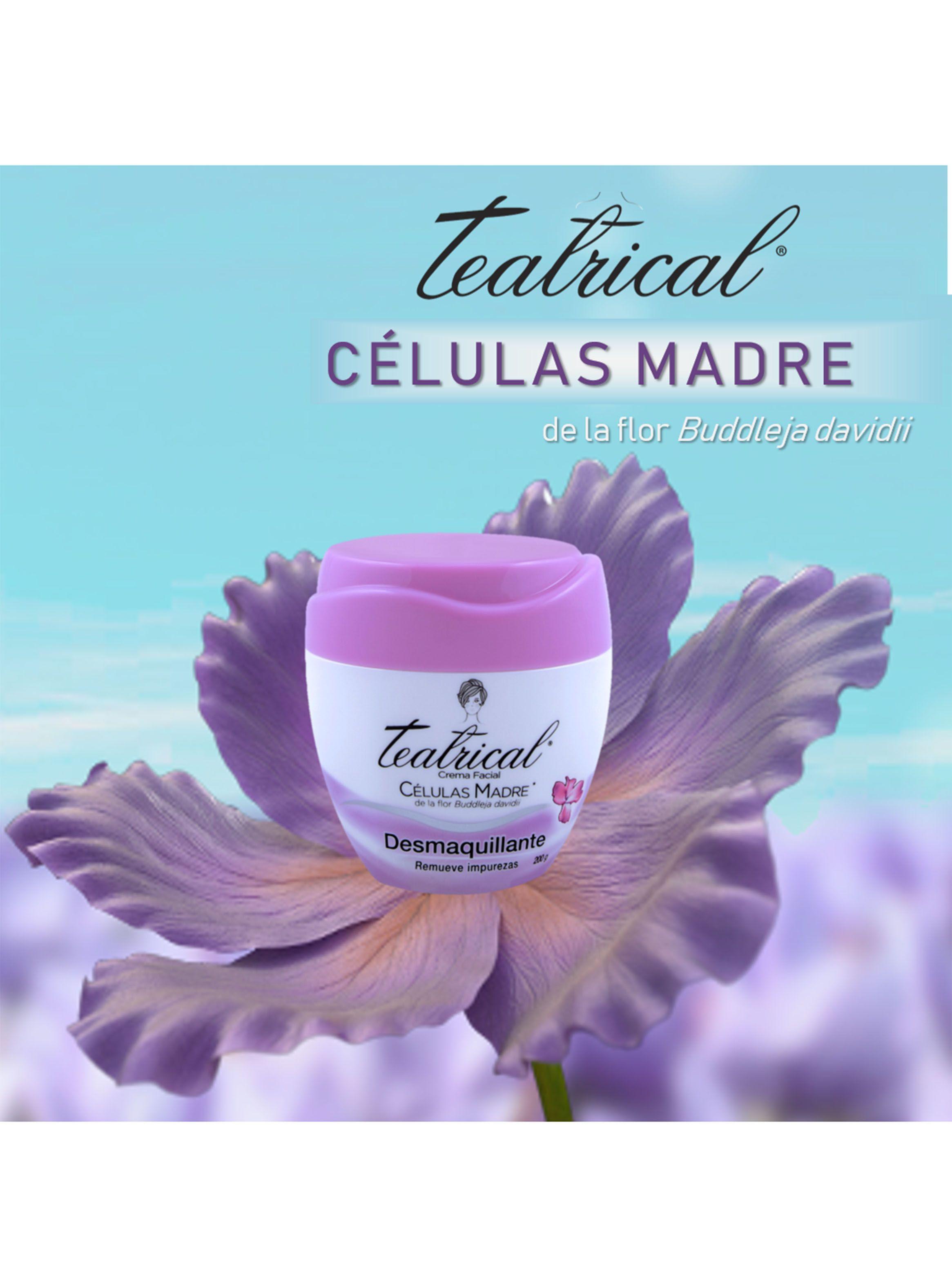Crema Teatrical Facial Desmaquillante 200 g-2
