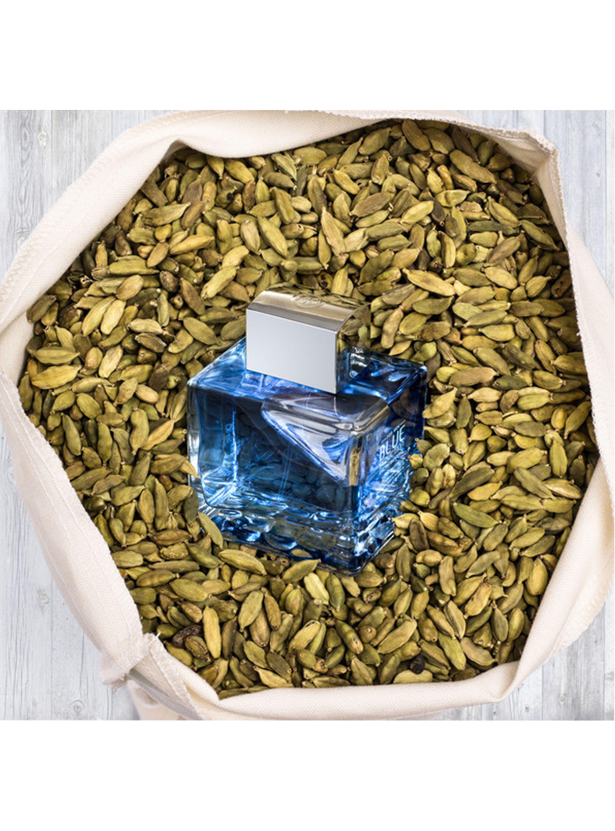 Perfume Antonio Banderas Blue Seduction Hombre EDT 50 ml EDL-2