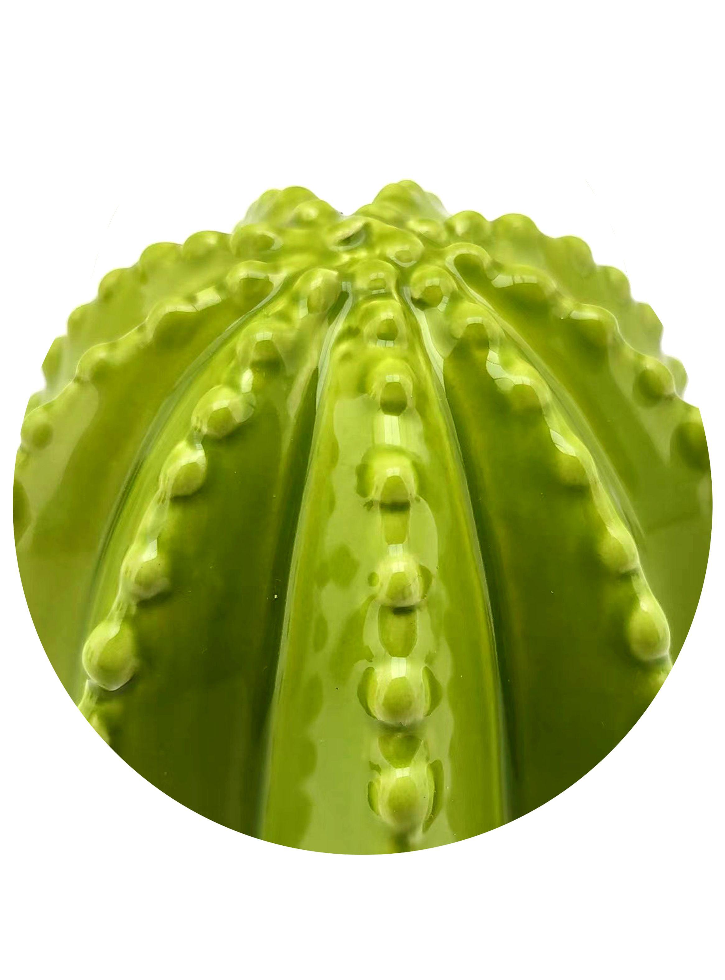 Adorno Cactus M 16 cm-2