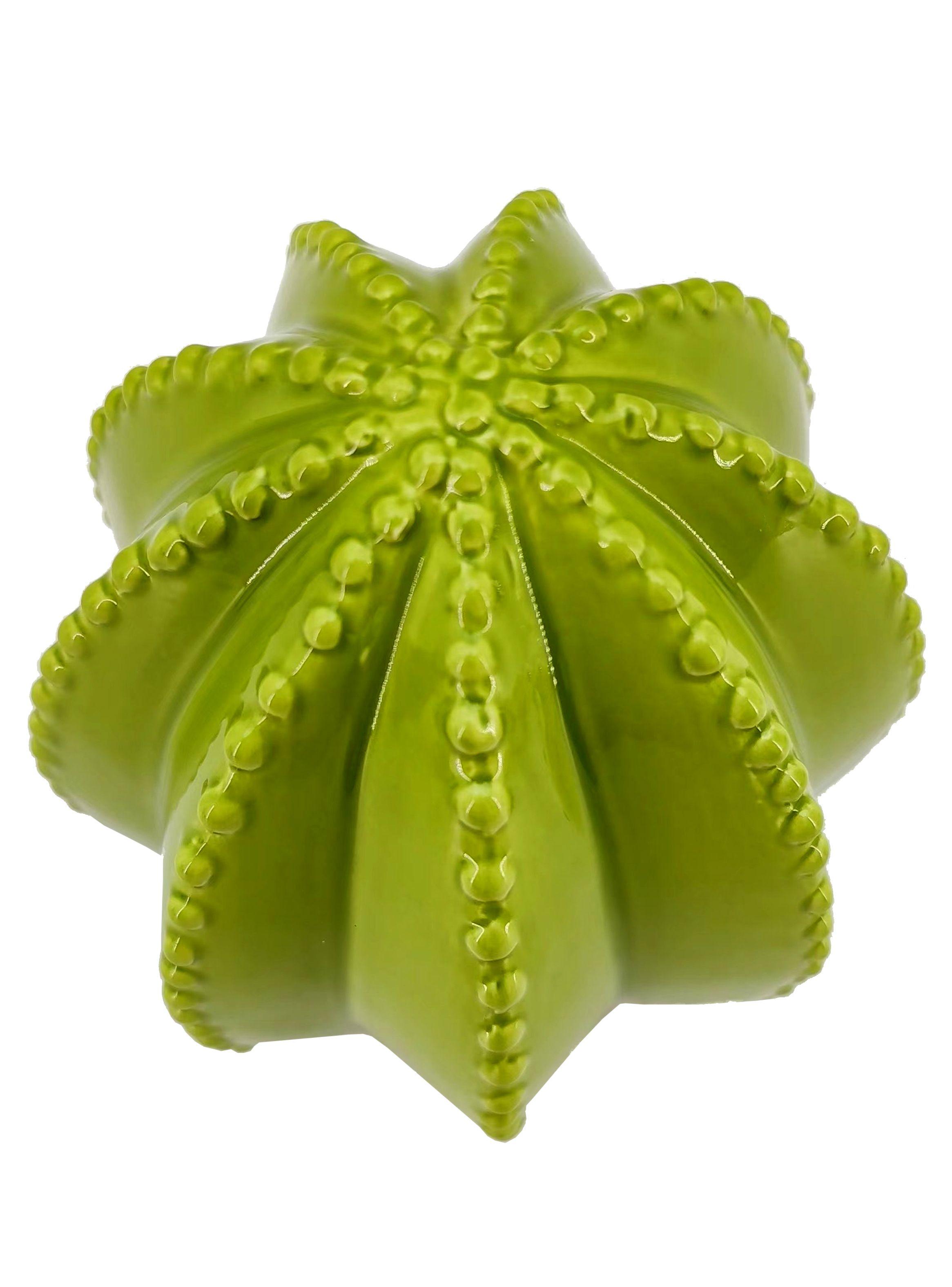 Adorno Cactus M 16 cm-1