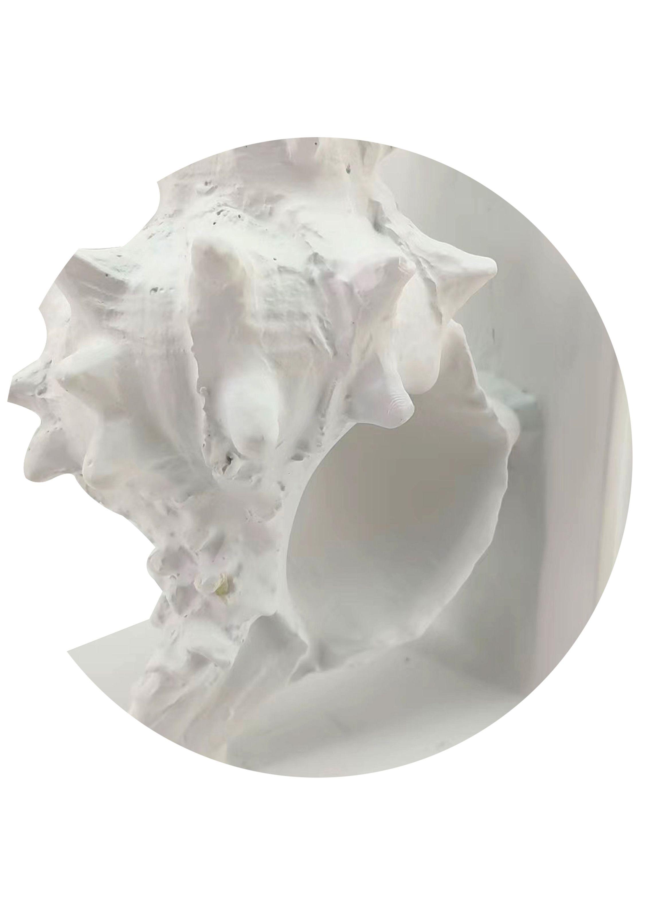 Sujeta Libros Marino 2-4