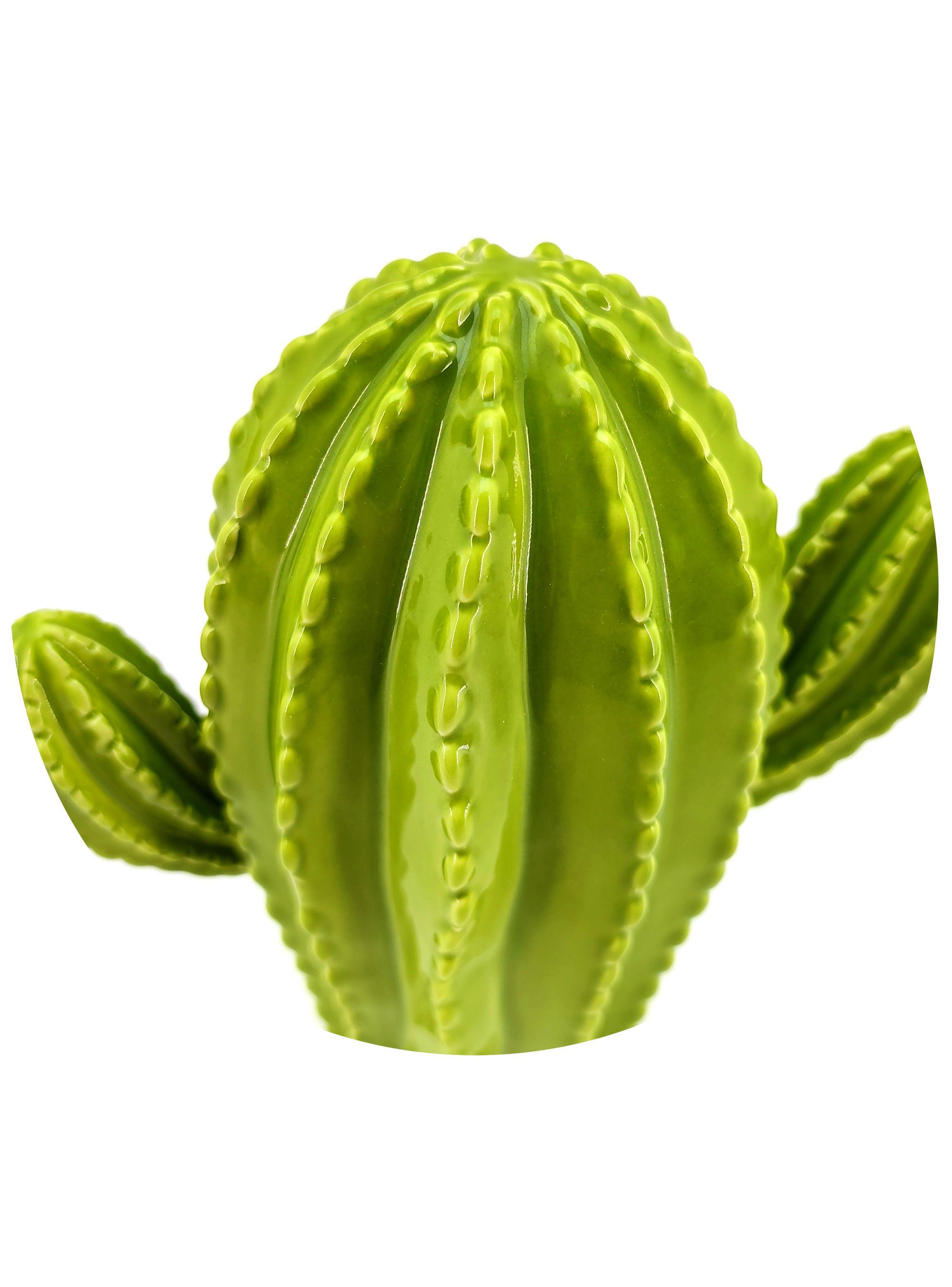 Adorno Cactus L 20 cm-4
