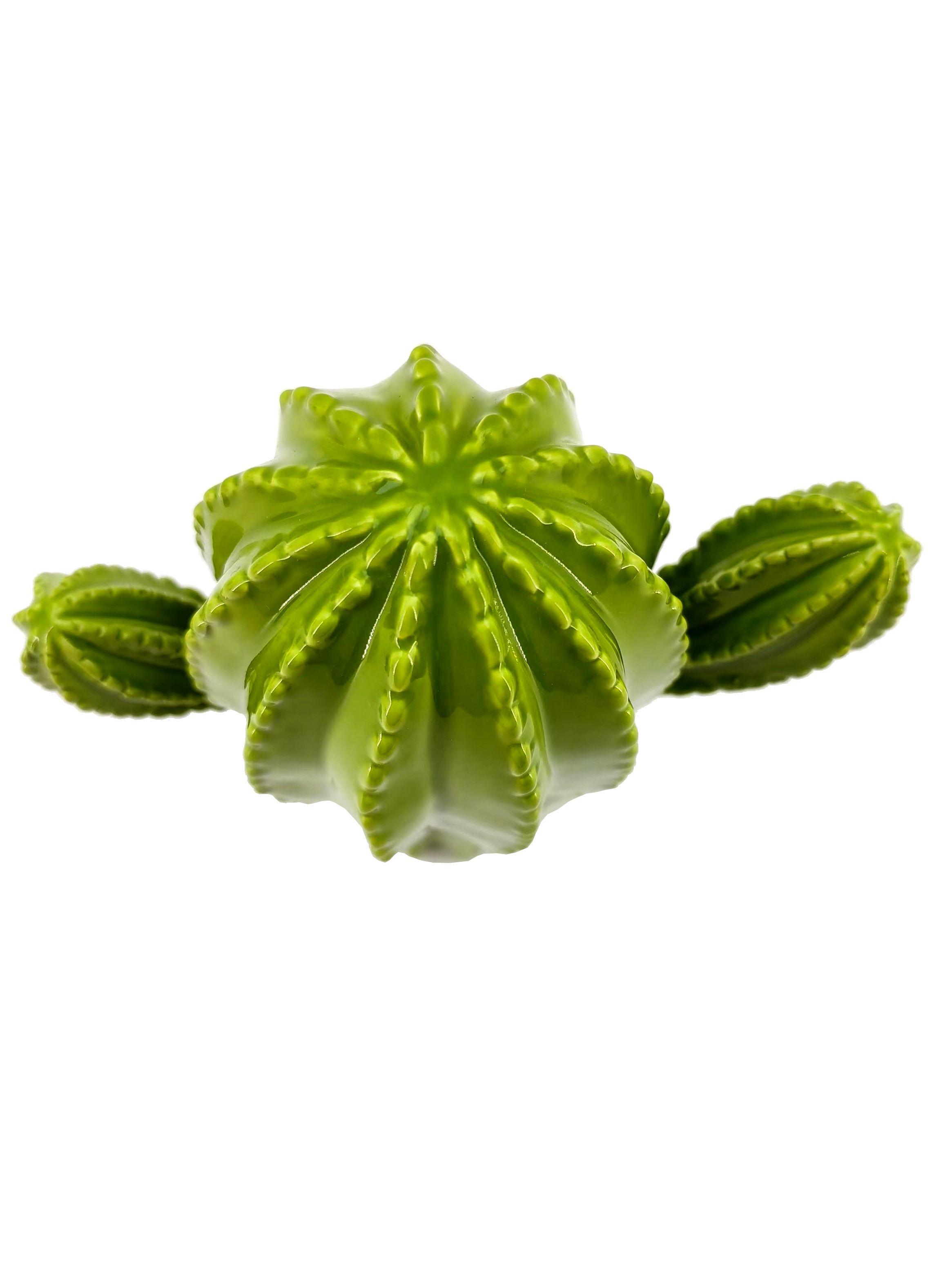 Adorno Cactus L 20 cm-3