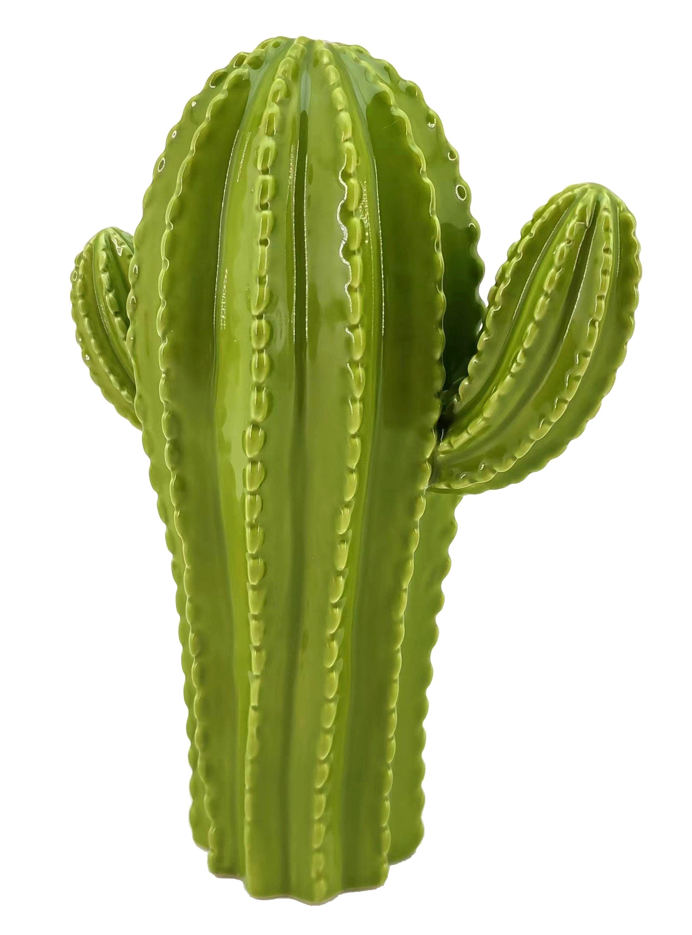 Adorno Cactus L 20 cm-2
