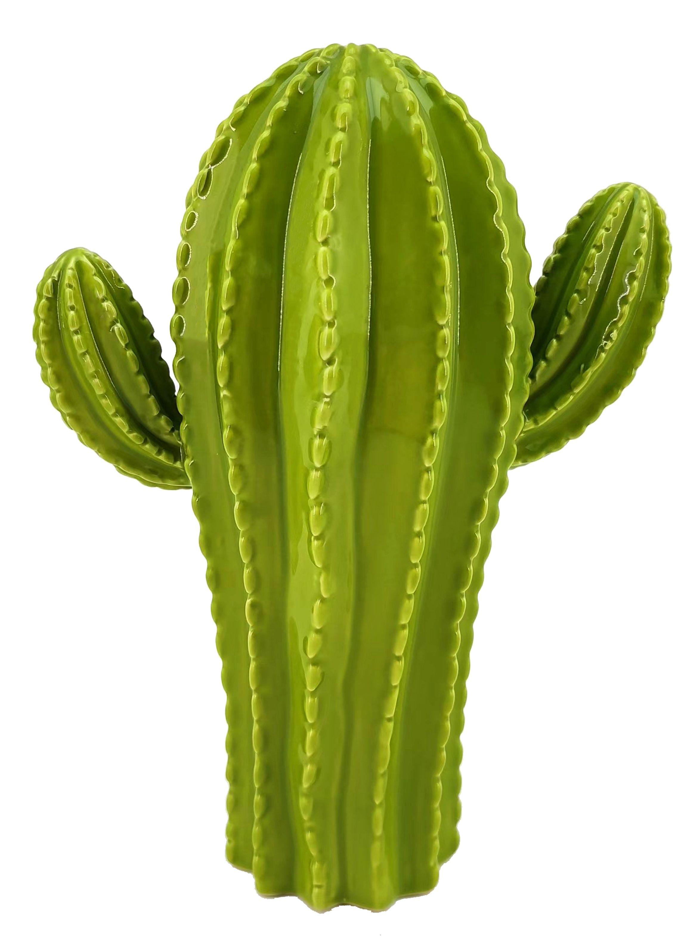 Adorno Cactus L 20 cm-0