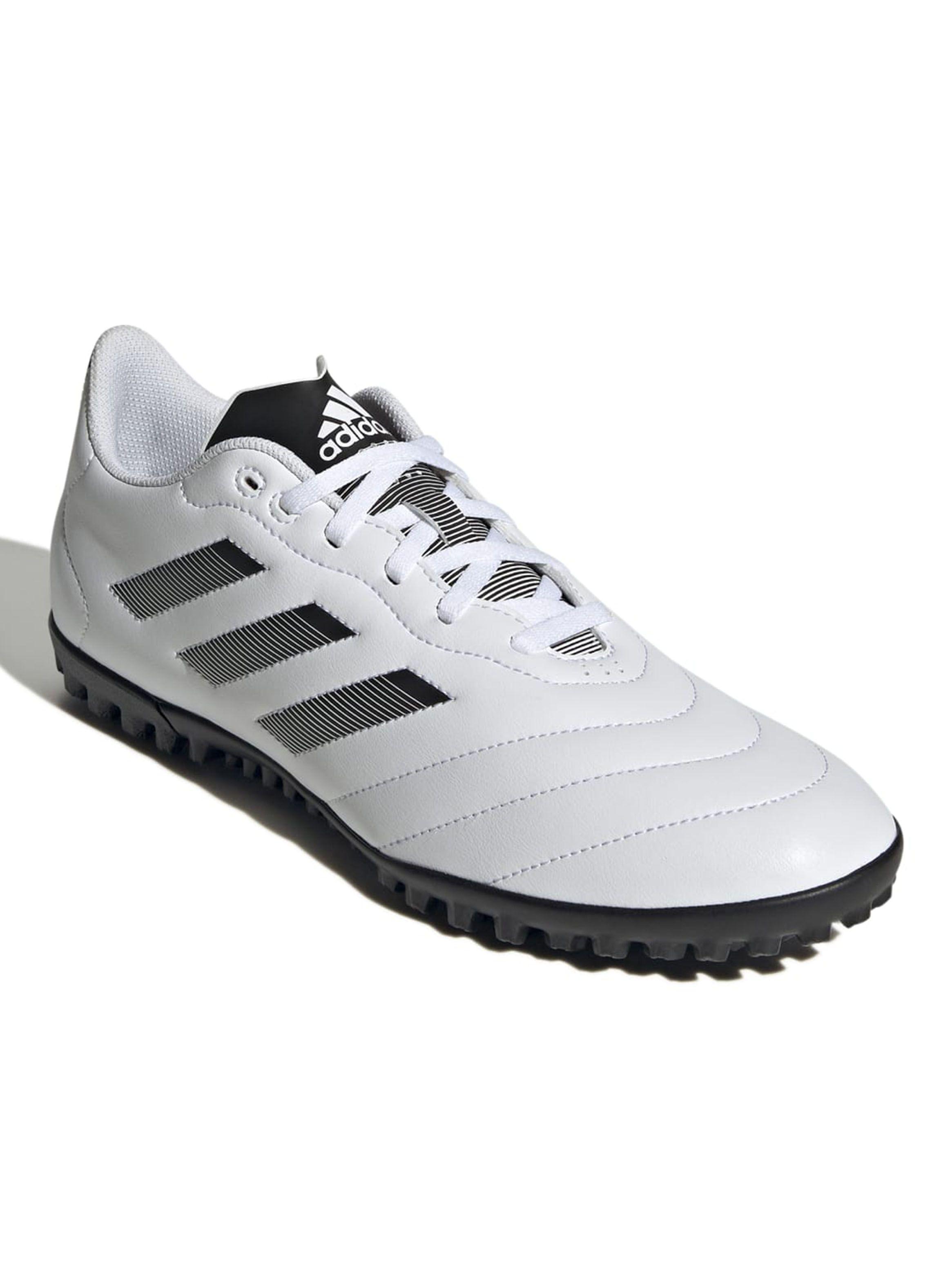 Zapatilla de Fútbol Goletto Viii Tf  Unisex-1