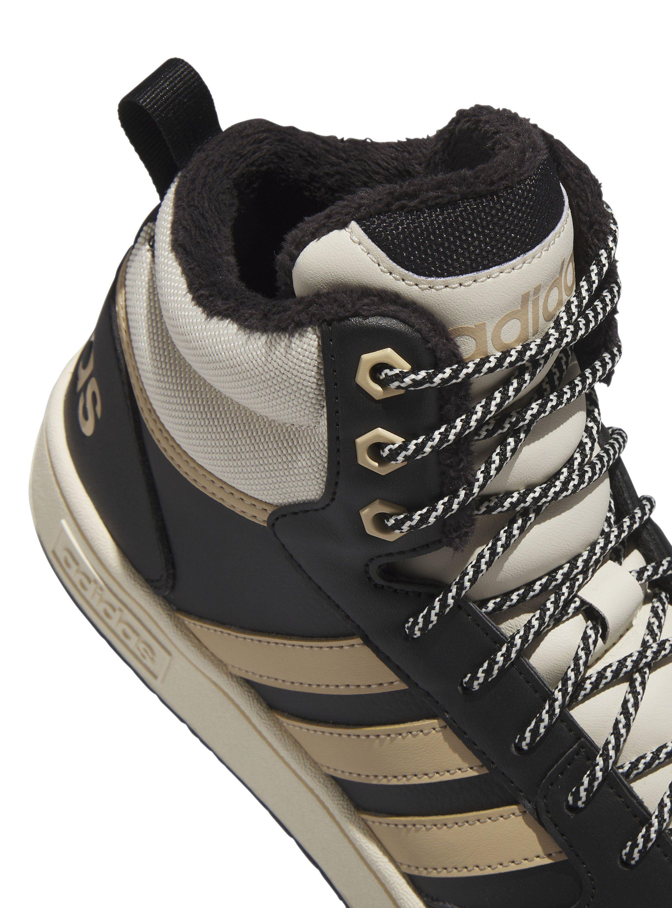 Zapatilla Básquetbol Graphic Lifestyle Hoops 3.0 Hombre-2