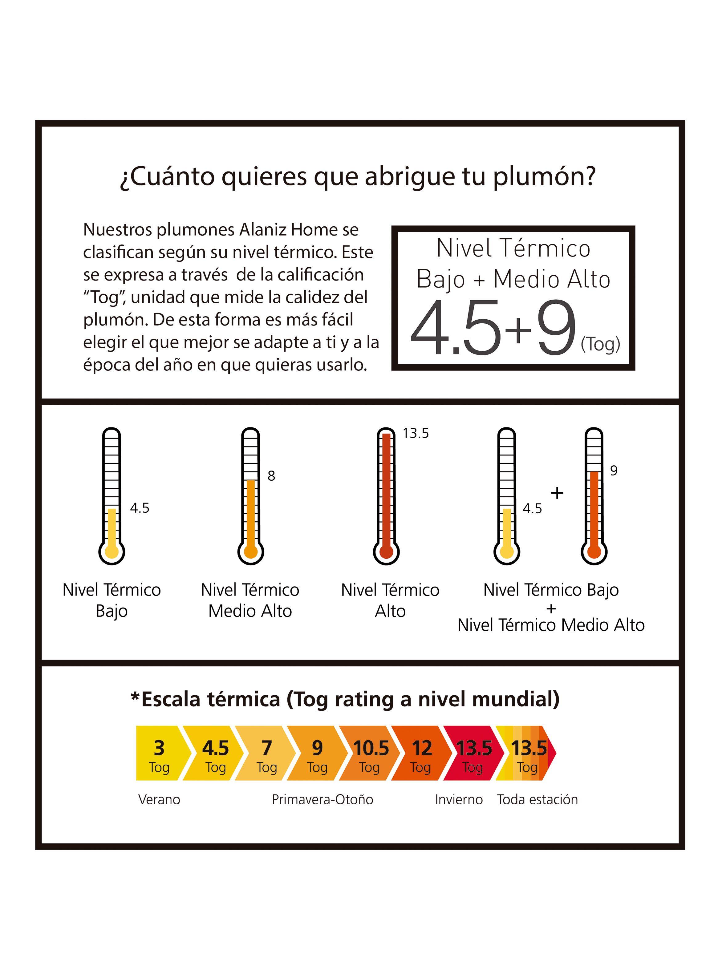 Plumón Toda Estación 1.5 Plazas-4