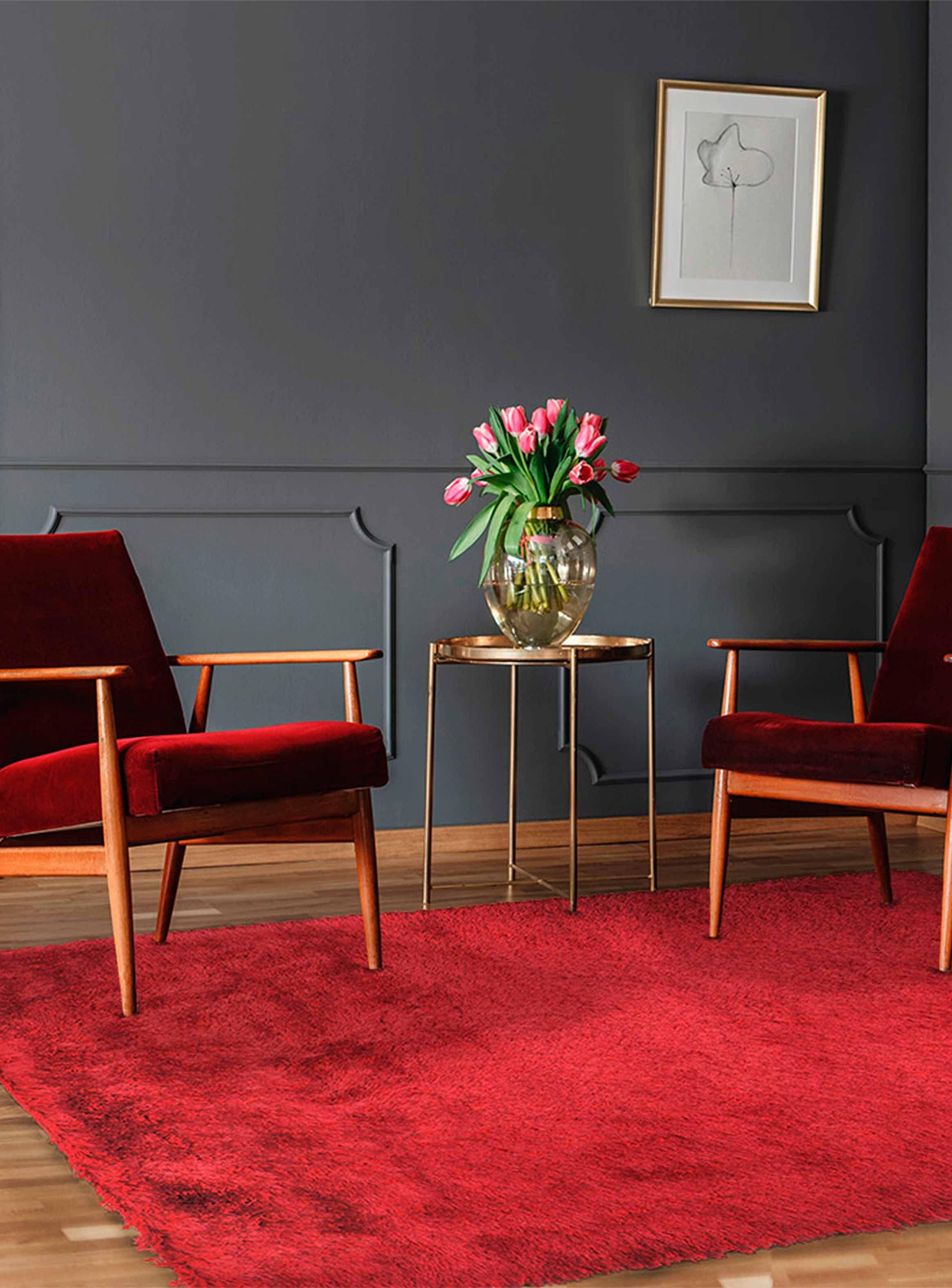Alfombra Bengala Rojo 190x290 cm-2