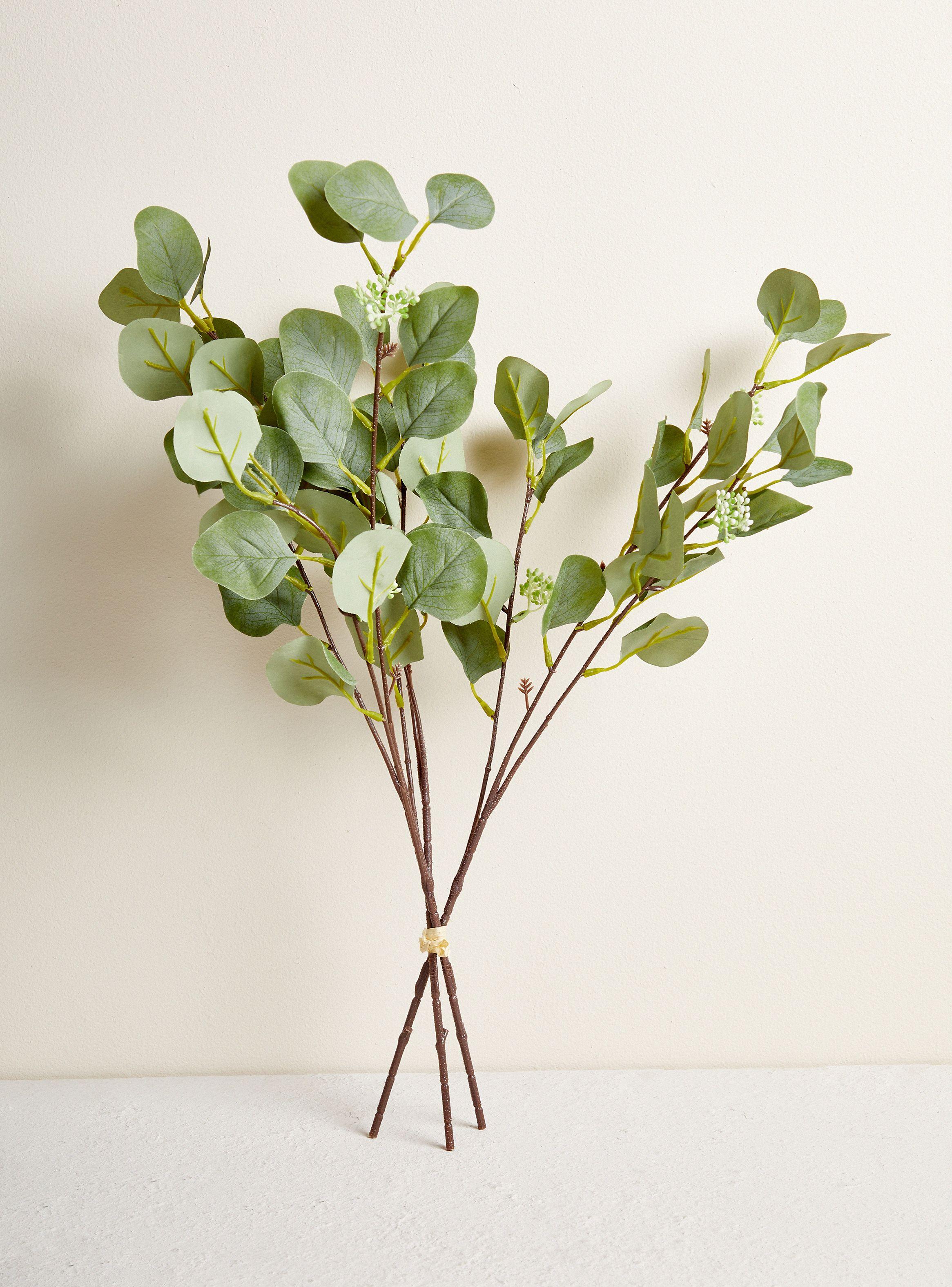 Ramo Eucaliptus 49 cm-0