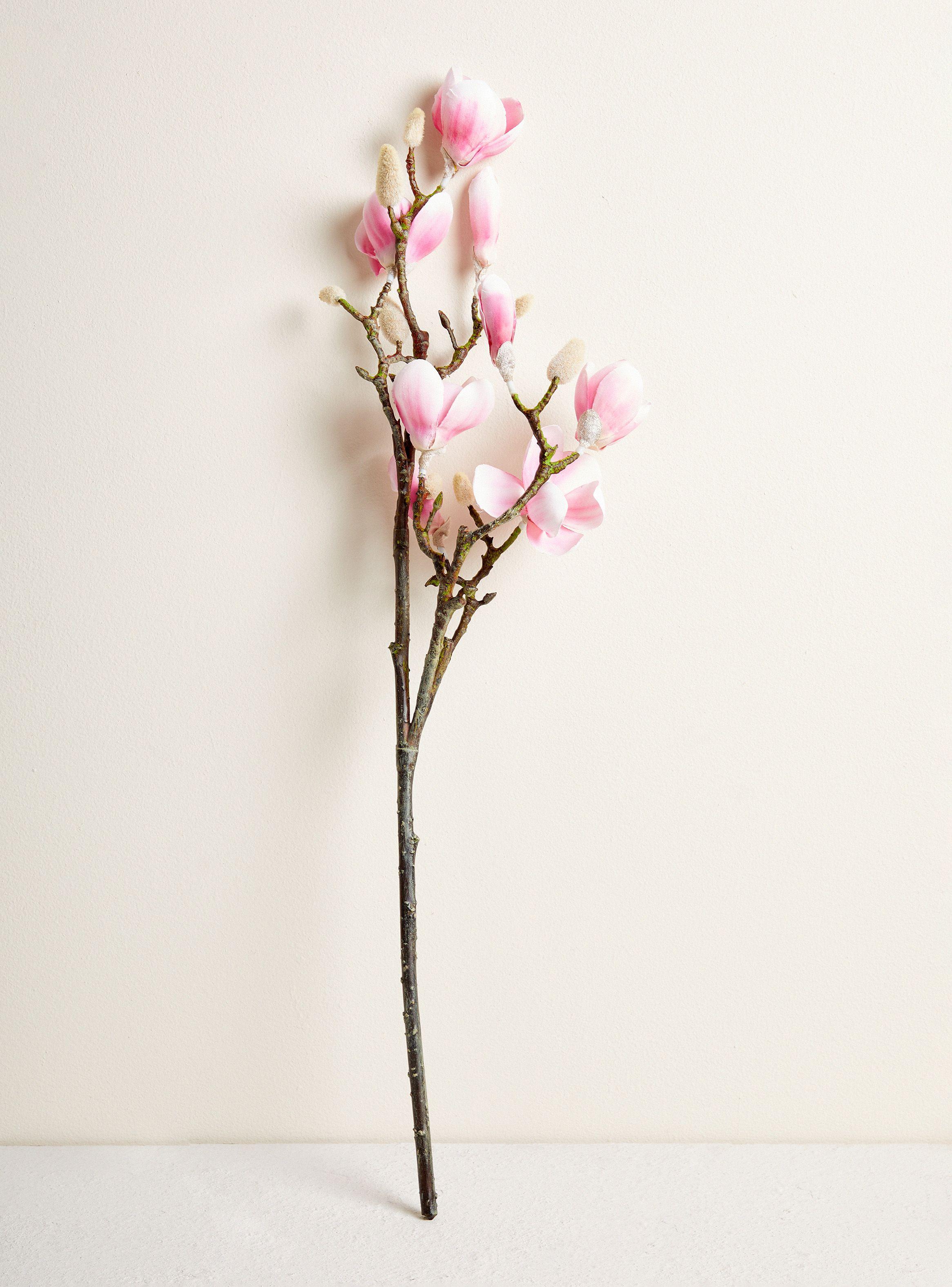 Magnolia 61 cm-0